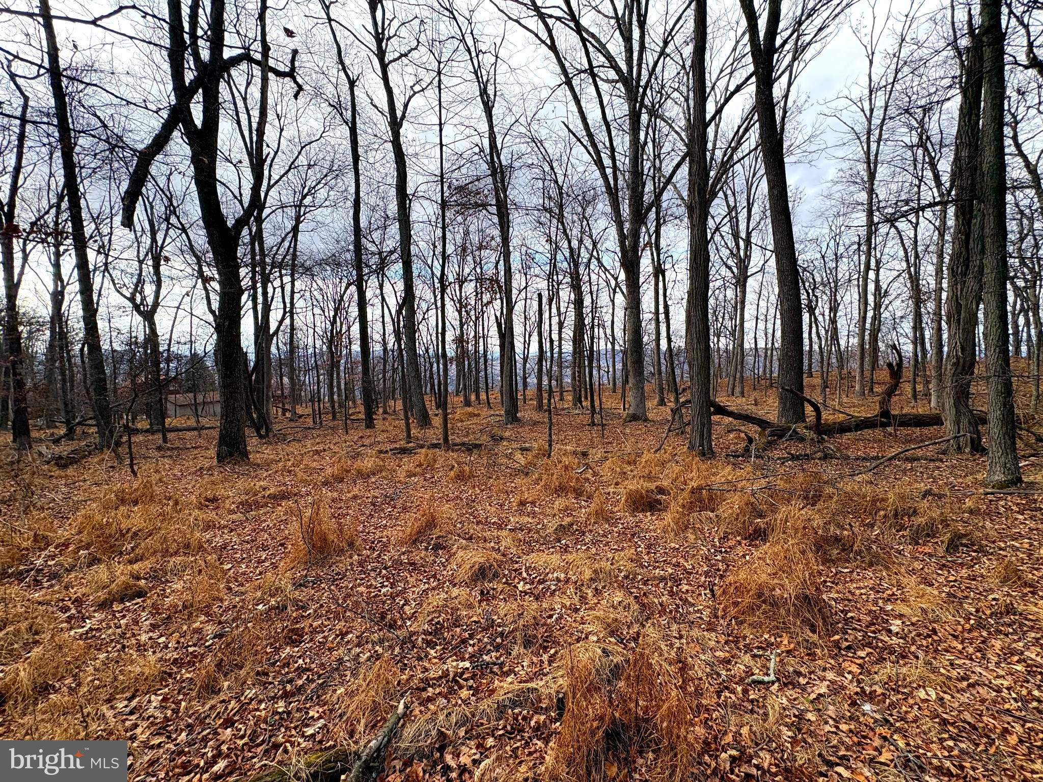 OLD FIELDS - Land