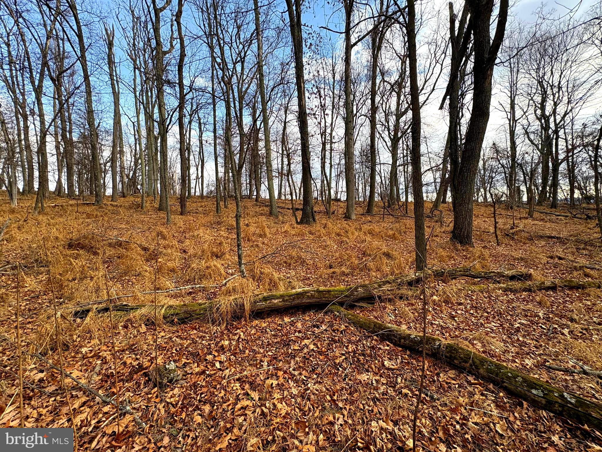 OLD FIELDS - Land