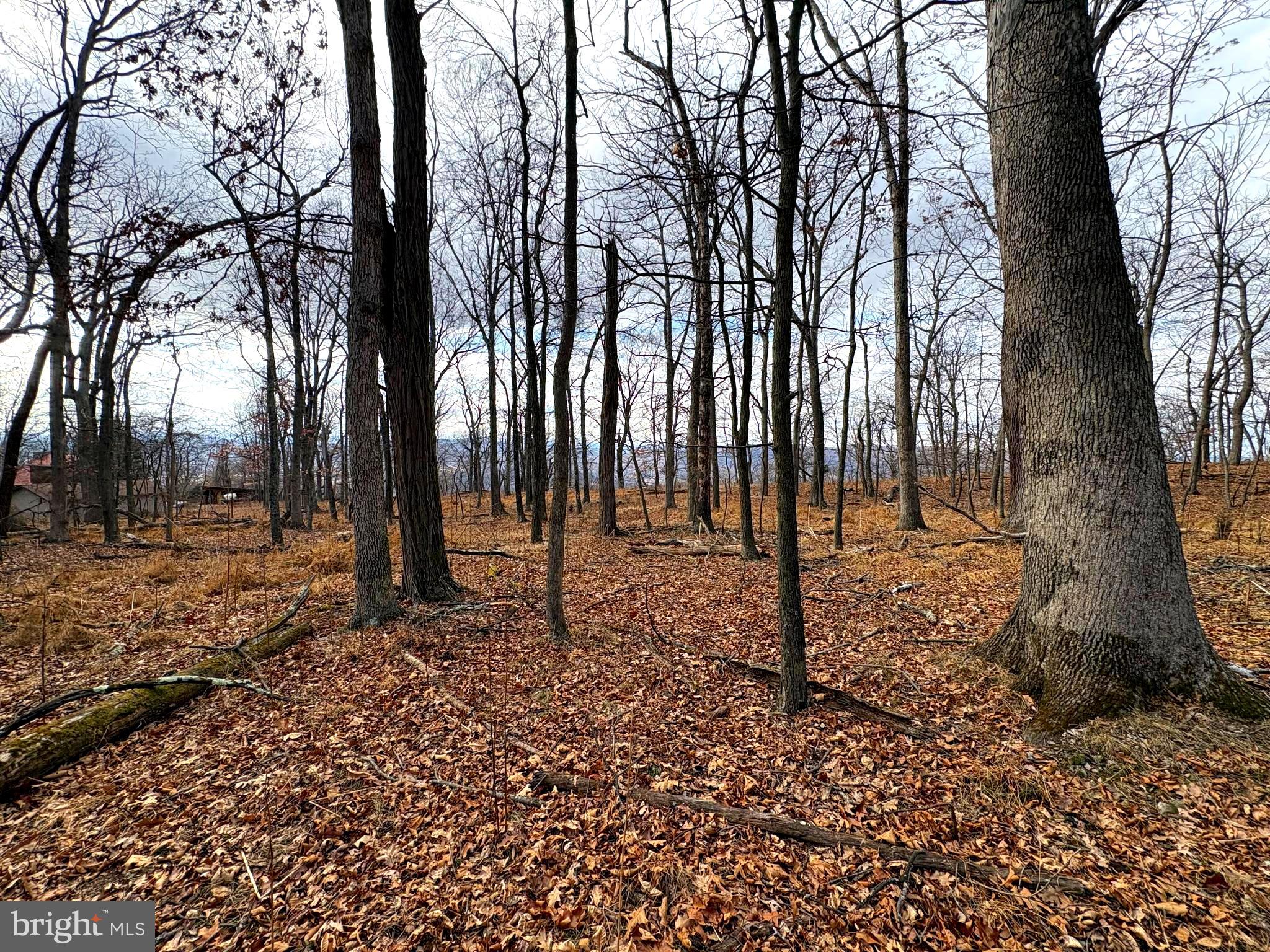 OLD FIELDS - Land