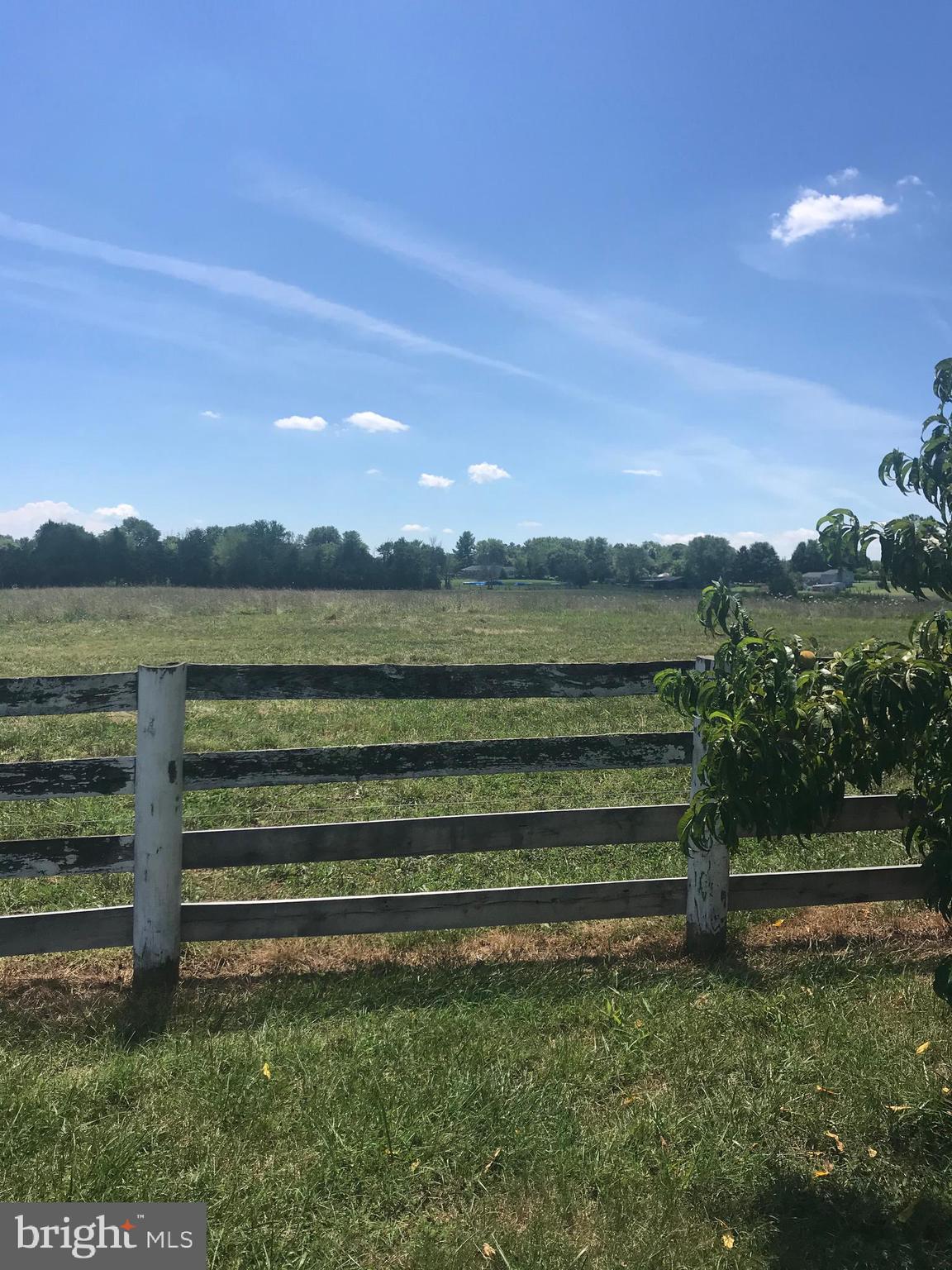 NONE AVAILABLE - Farm