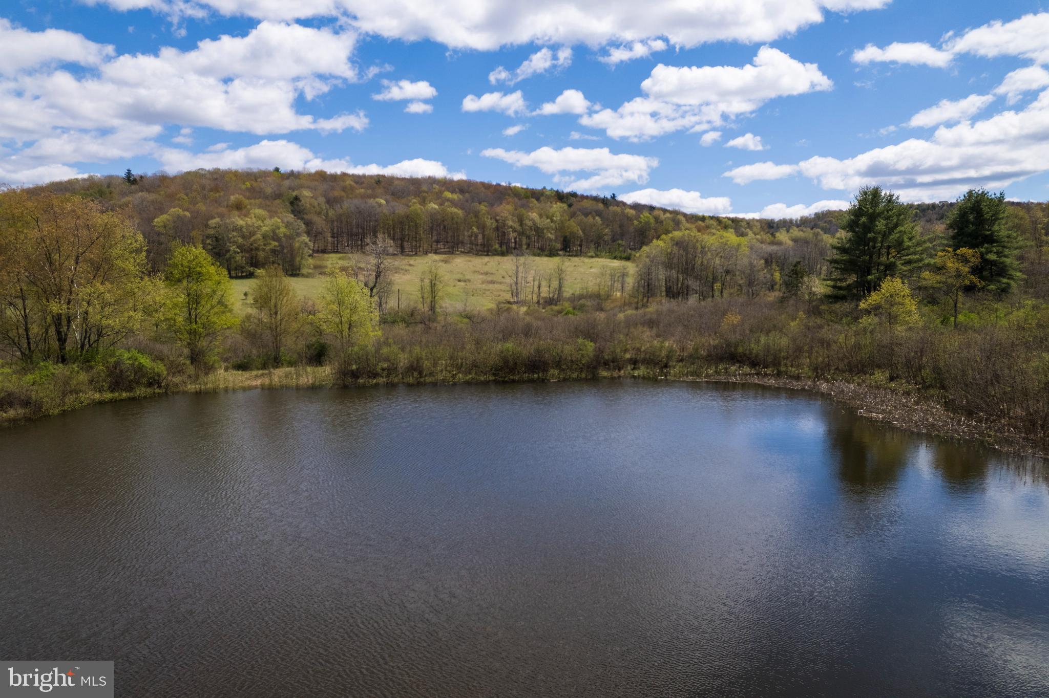 SELLER FINANCING AVAILABLE

Discover a truly exceptional opportunity in Montrose, PA—approximately 28± acres of pure Northeastern Pennsylvania beauty, once cherished as a private hunting and fishing camp and now ready for your next great vision. This property is a rare blend of open meadows, mature woods, and a peaceful pond, creating a landscape that feels both secluded and full of possibility.

Whether you dream of building a custom home, creating a recreational retreat, or securing a smart long‑term investment, this land delivers. It’s the perfect size—large enough for adventure, yet manageable enough to enjoy—with endless potential for outdoor recreation, wildlife watching, and quiet escapes into nature.

The property offers excellent road frontage and electric at the street, making future development smooth and convenient. The mix of open and wooded acreage provides flexibility for homesites, trails, food plots, or simply enjoying the natural beauty that surrounds you. And with a bonus pond, you’ll have your own private waterside oasis right on the property.

Opportunities like this—scenic, versatile, and affordable—are becoming increasingly rare in this region. If you’ve been searching for a place where privacy, nature, and potential come together, this is it.

Don’t miss your chance to claim this alluring piece of Montrose countryside. Schedule your private tour today.

"LESS ACREAGE CAN BE NEGOTIATED" OGM's Convey with the property! No gas leases in place.