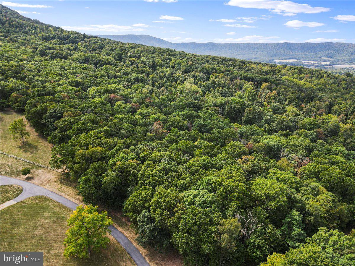 DEERWOOD MOUNTAIN ESTATES - Land