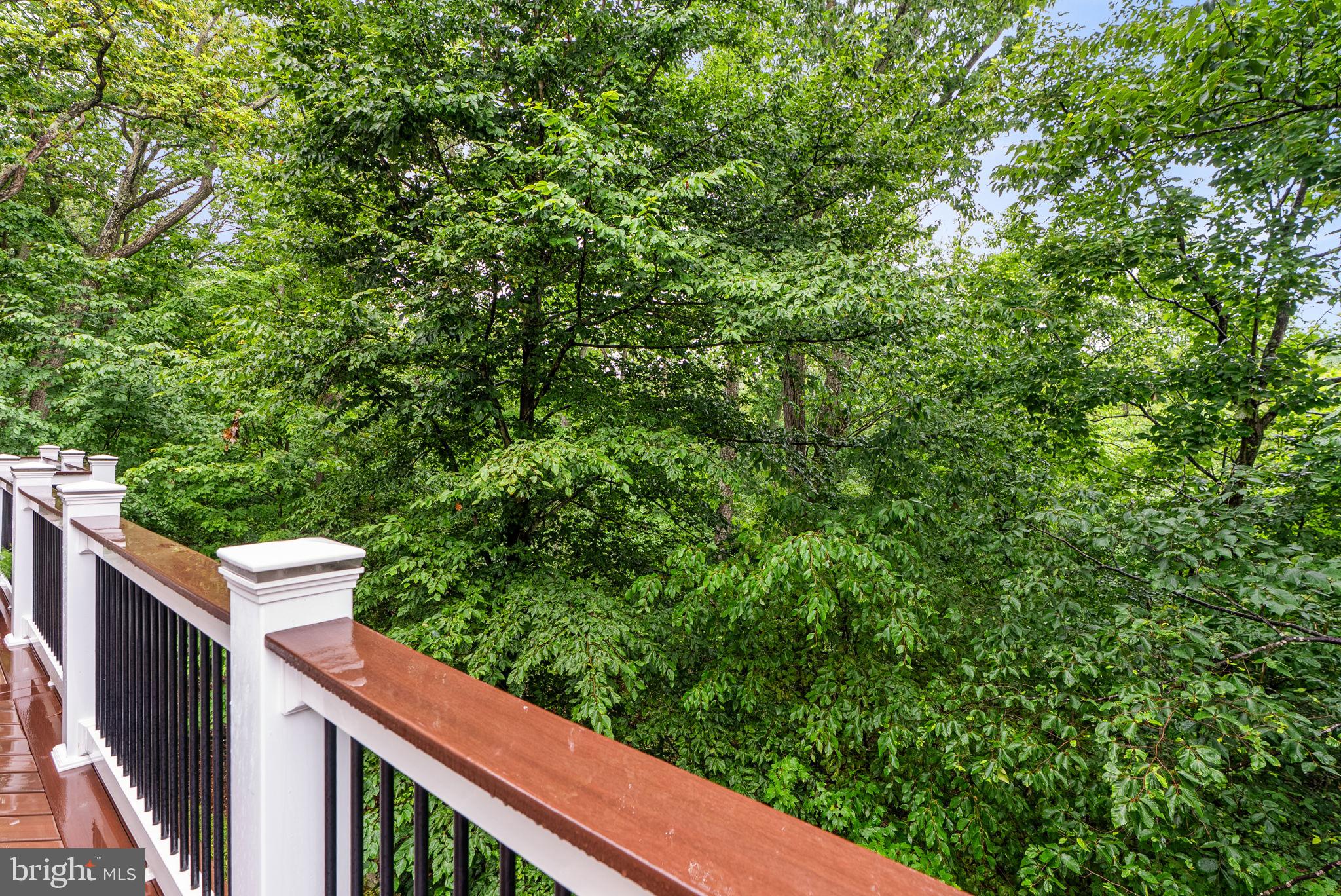 ASPEN NORTH AT LAKE LINGANORE - Residential