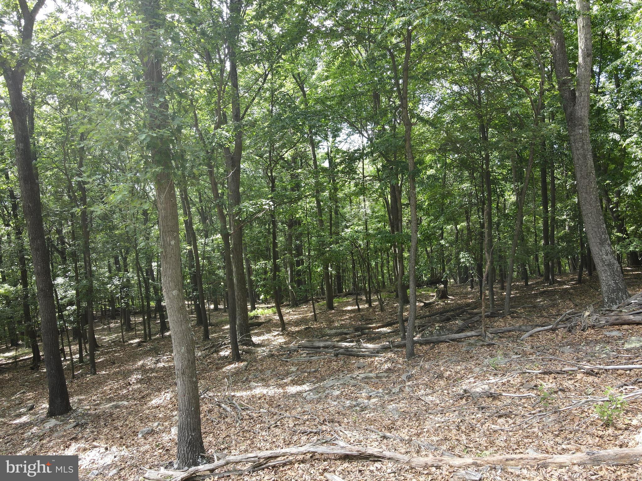 COVE CREEK - Residential
