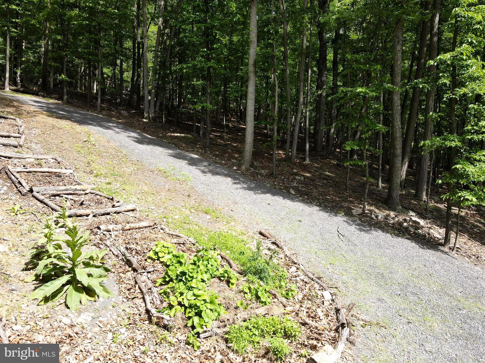 COVE CREEK - Residential