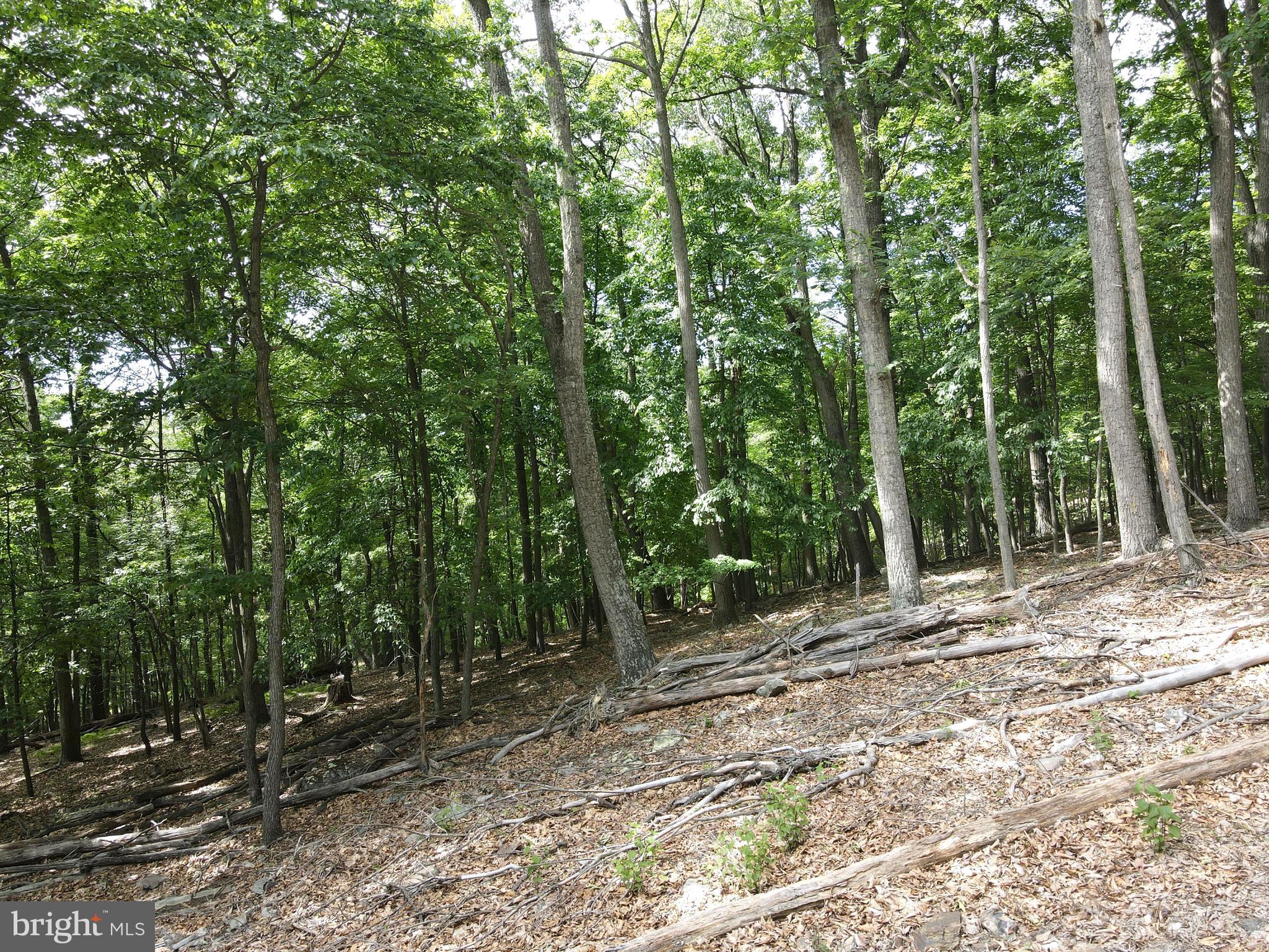 COVE CREEK - Residential