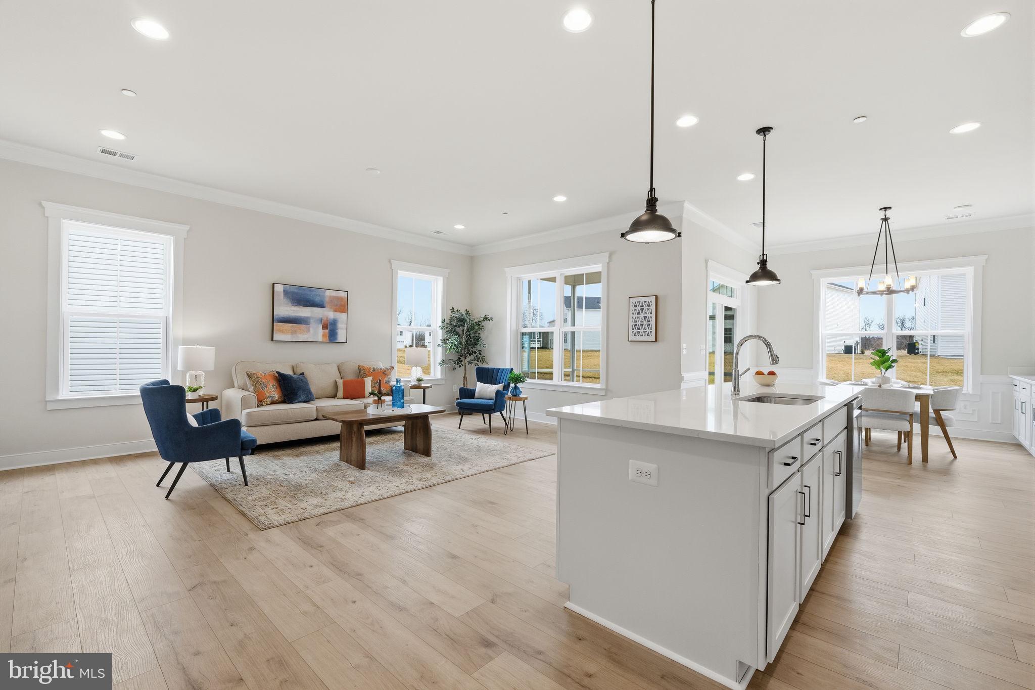 LAKESIDE AT TRAPPE - Residential