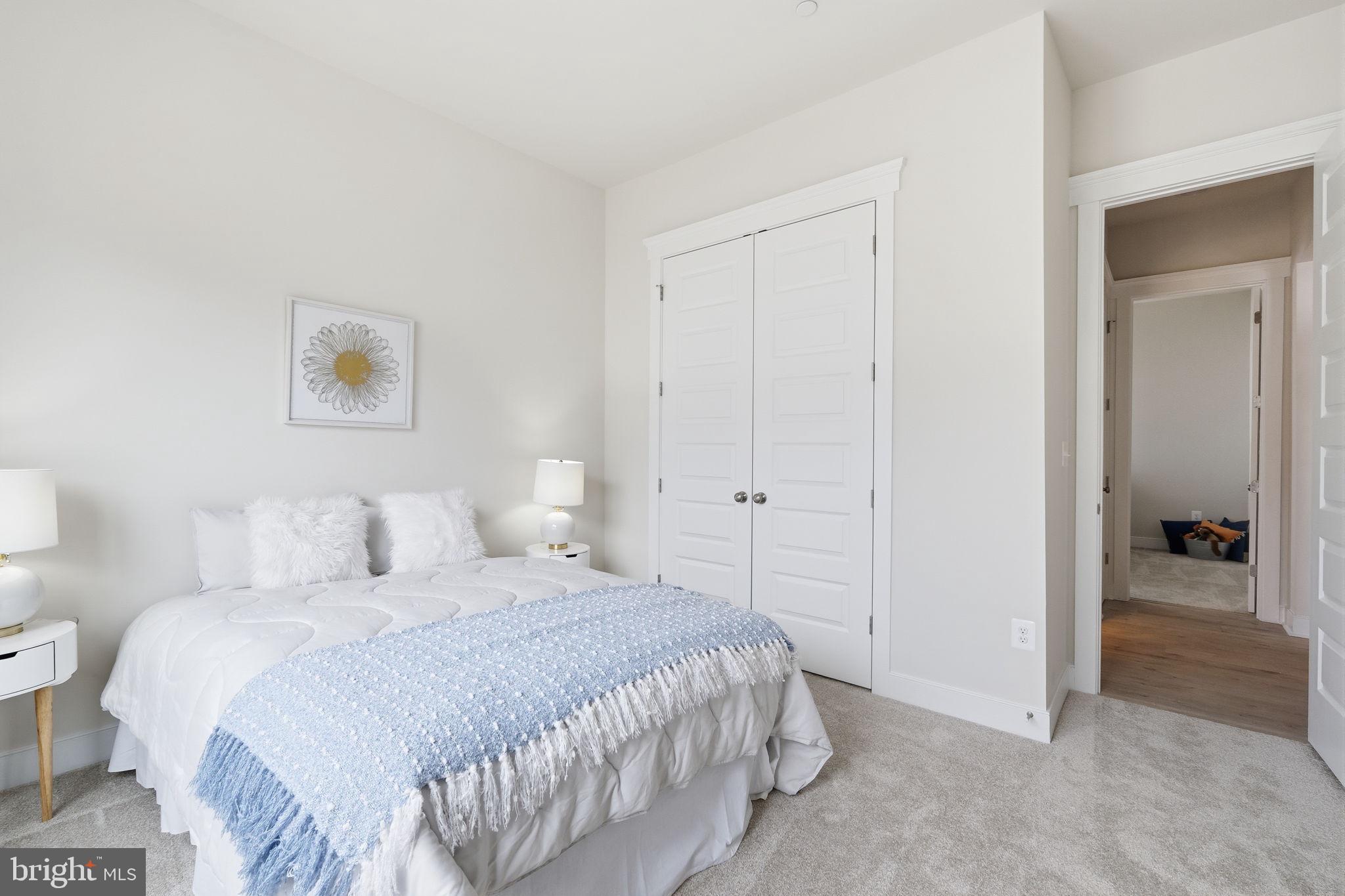 LAKESIDE AT TRAPPE - Residential