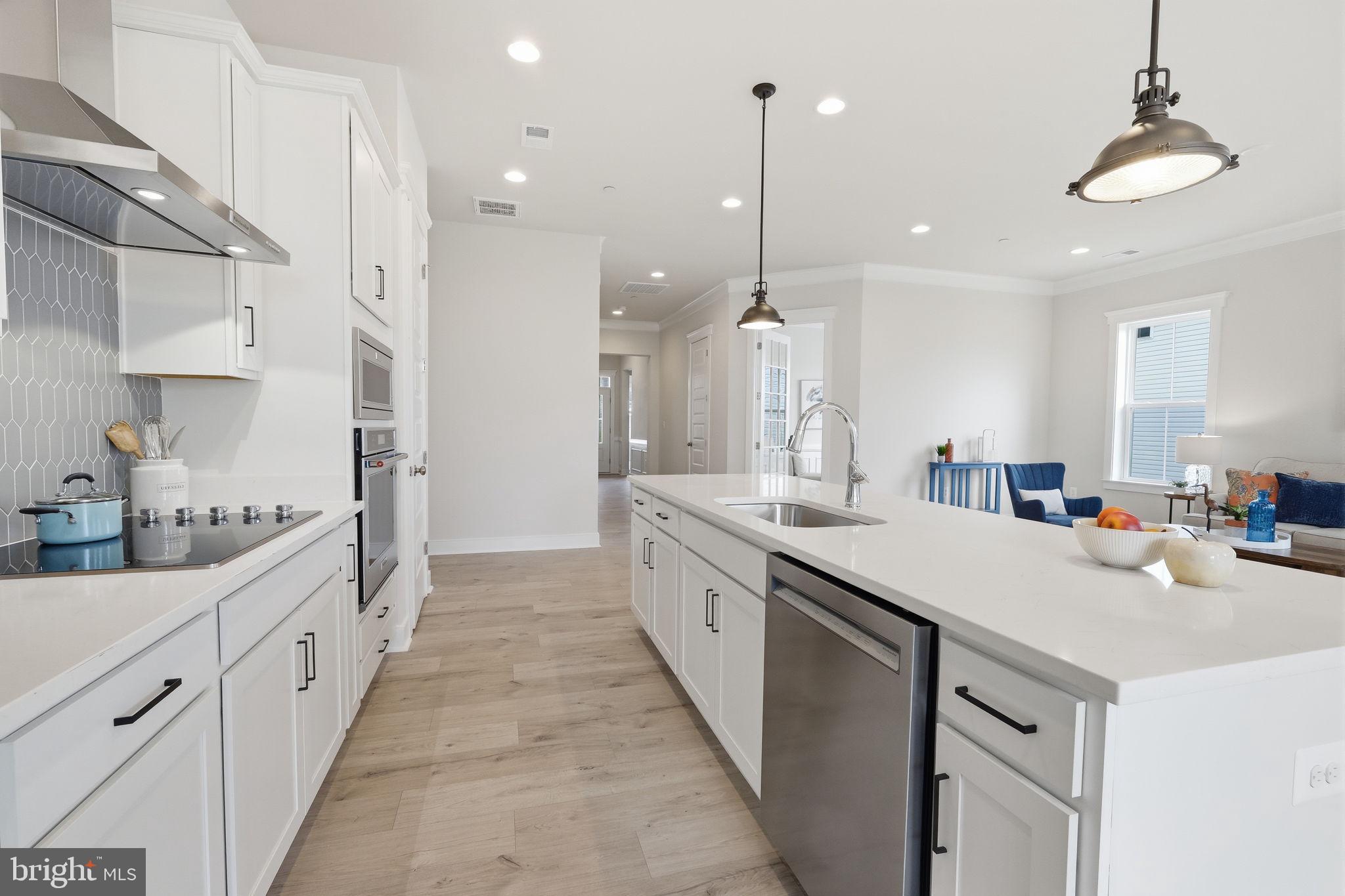 LAKESIDE AT TRAPPE - Residential