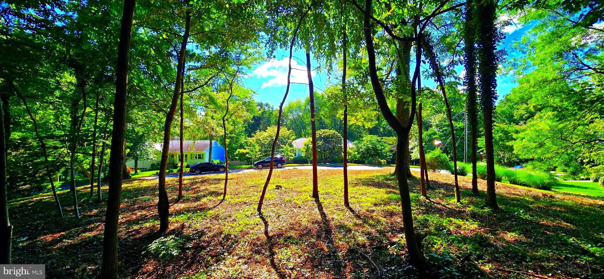 1622 Crescent Ln is a gorgeous interior .37 acre  premium lot located in the highly sought-after Chesterbrook Woods neighborhood of McLean.  Build your dream home and plant roots on this beautiful interior lot located in a great location with easy access around the DMV. This is a true lot with no previous structure on it with the potential to build a custom home of 8,000 sqft or more; the possibilities are endless.
