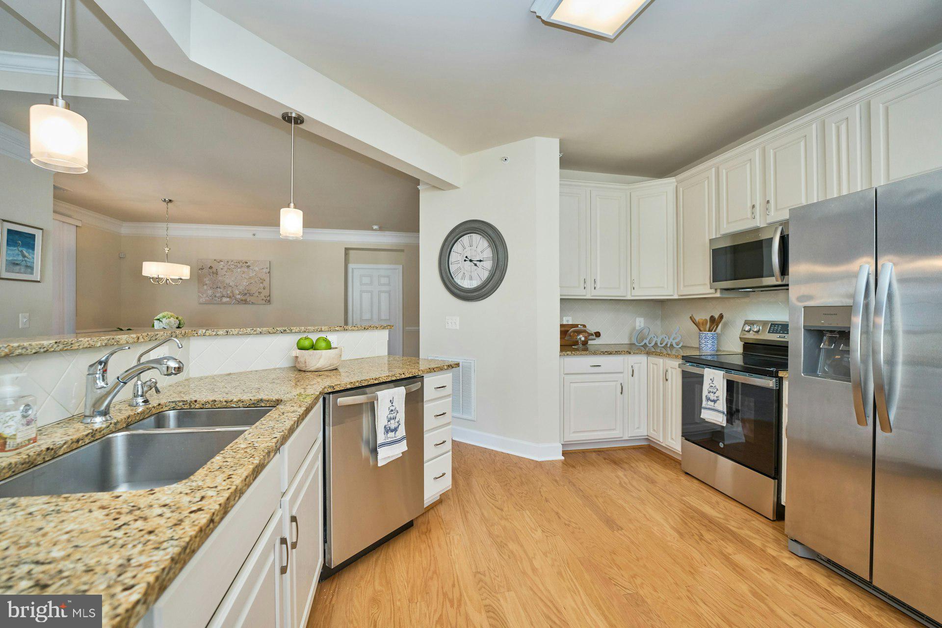 REGENCY AT DOMINION VALLEY - Residential