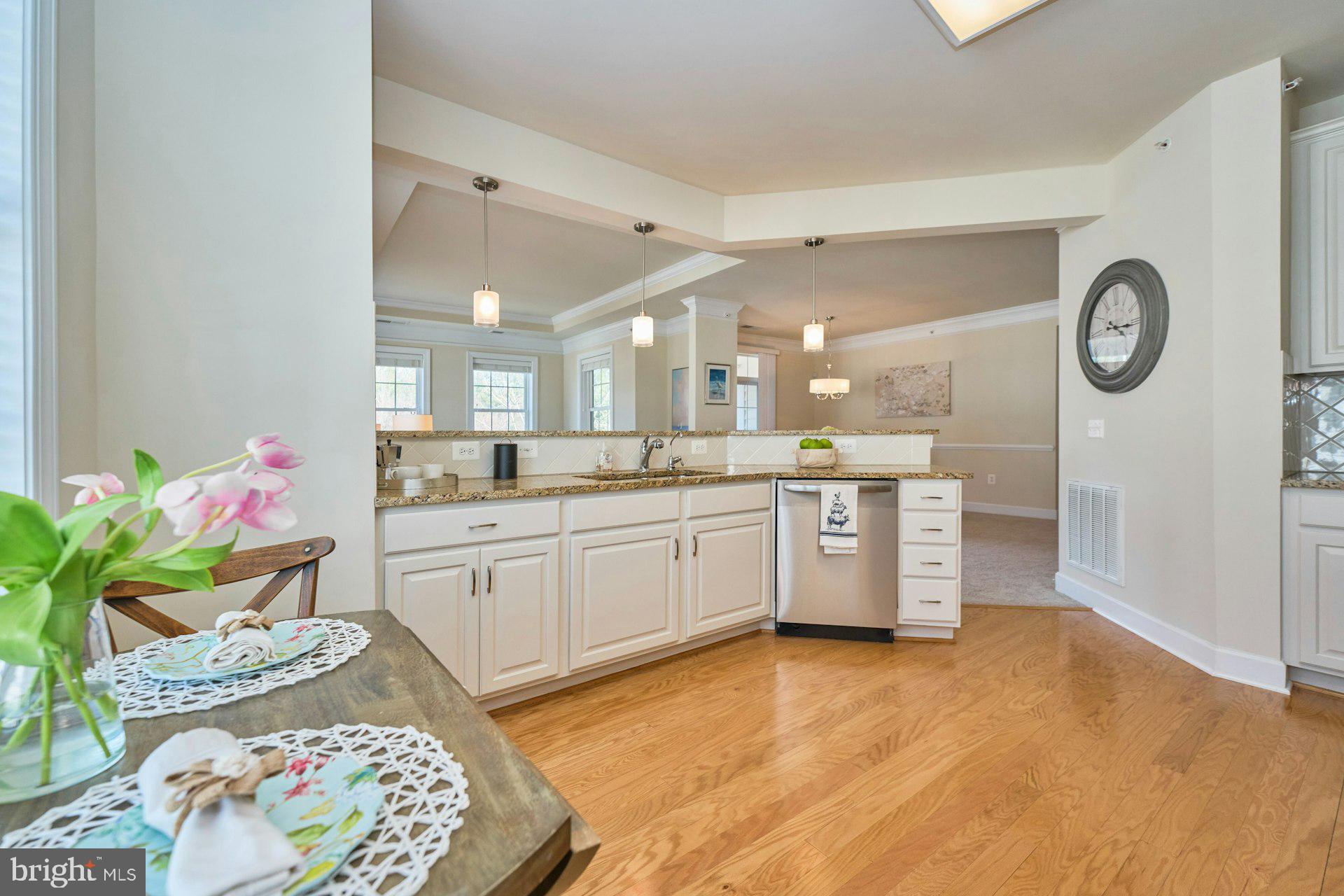 REGENCY AT DOMINION VALLEY - Residential