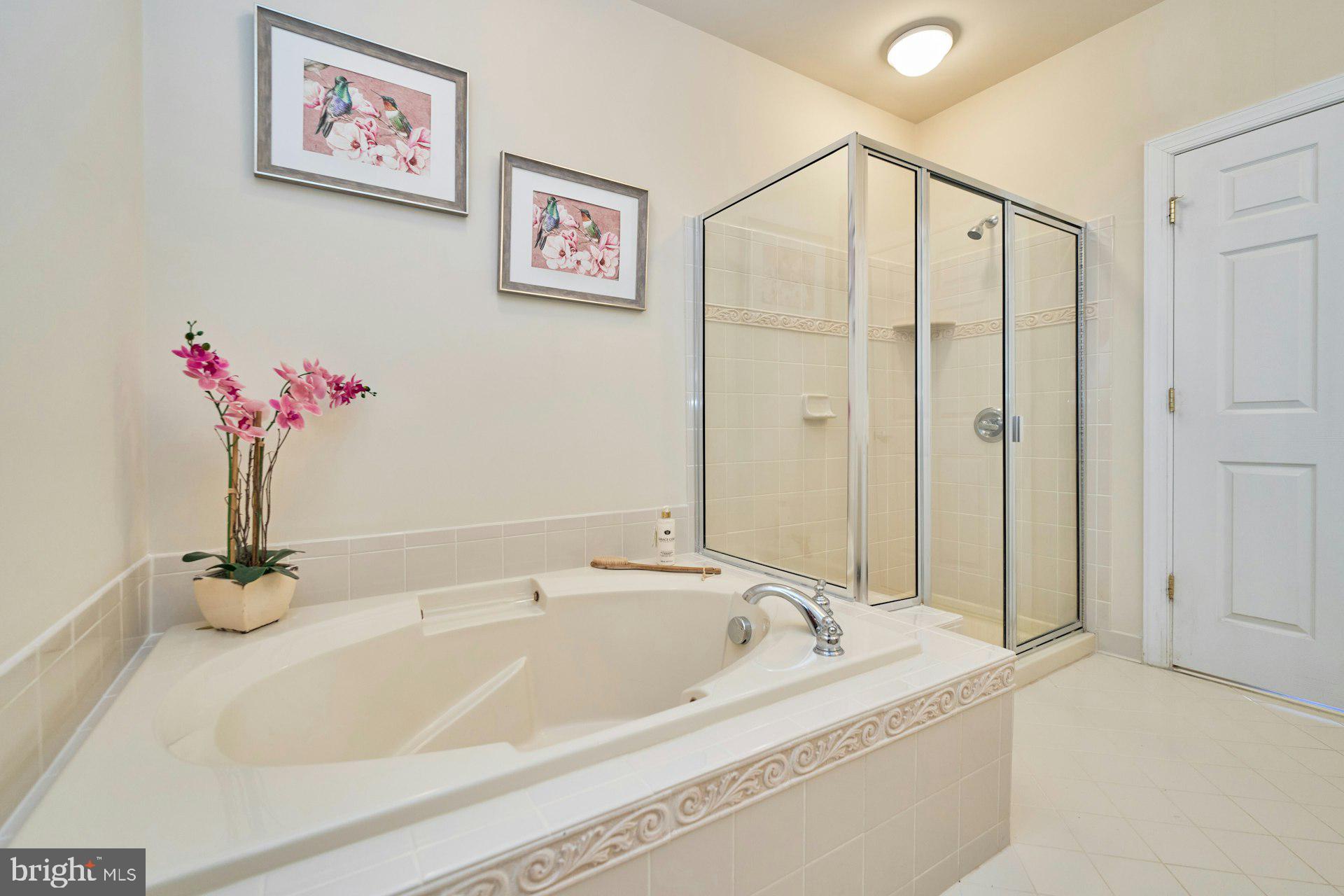 REGENCY AT DOMINION VALLEY - Residential