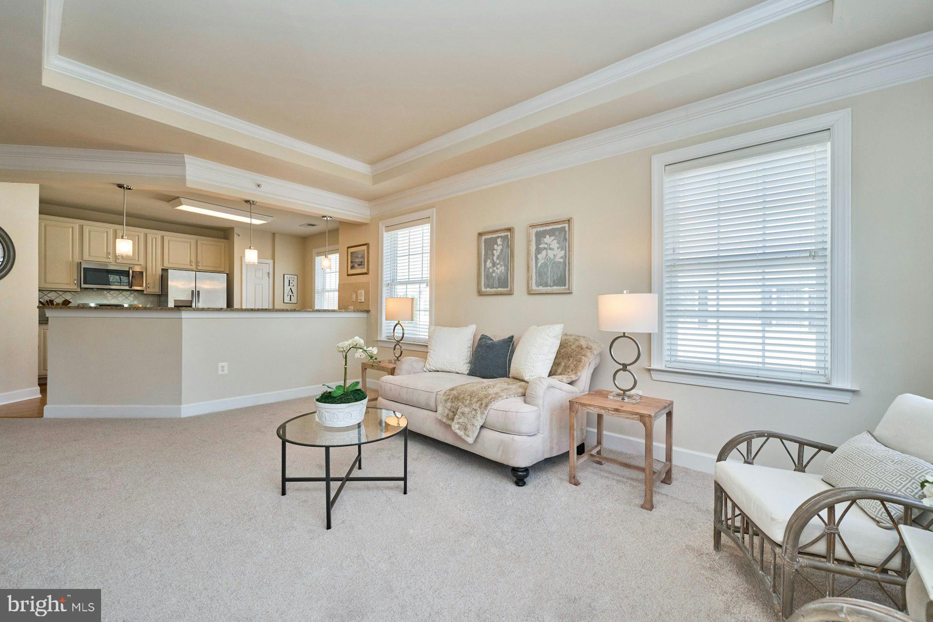 REGENCY AT DOMINION VALLEY - Residential