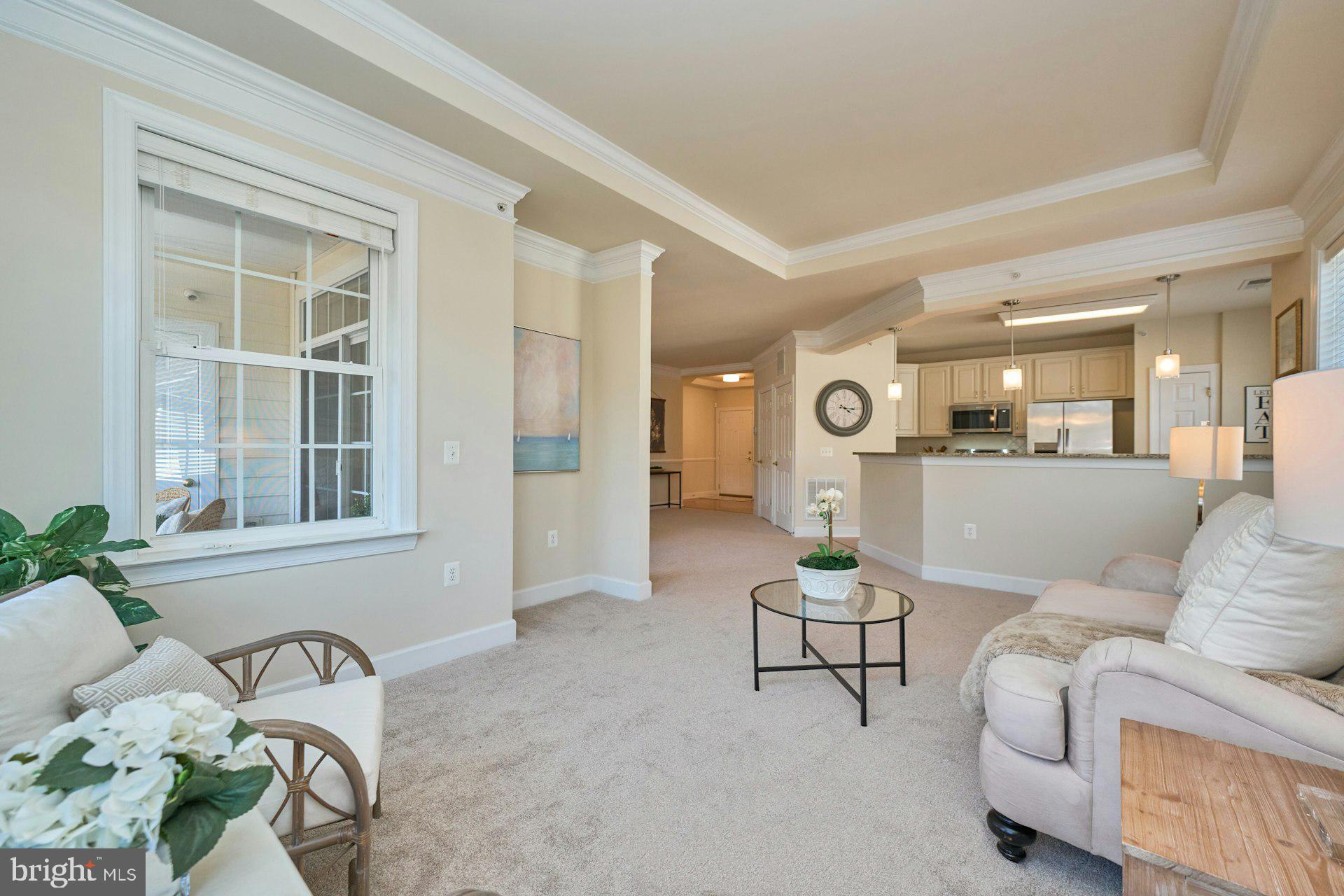REGENCY AT DOMINION VALLEY - Residential