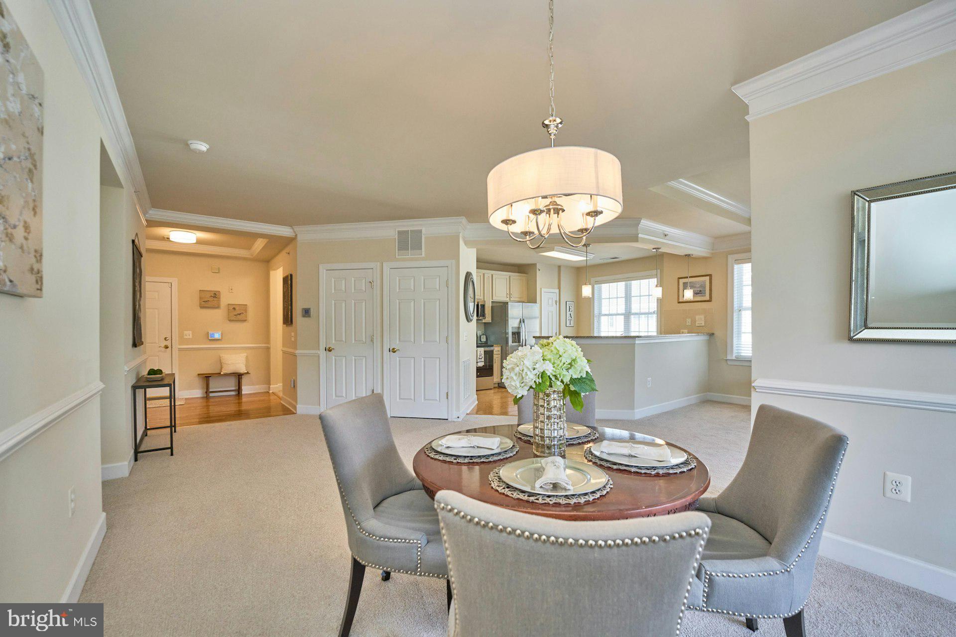 REGENCY AT DOMINION VALLEY - Residential