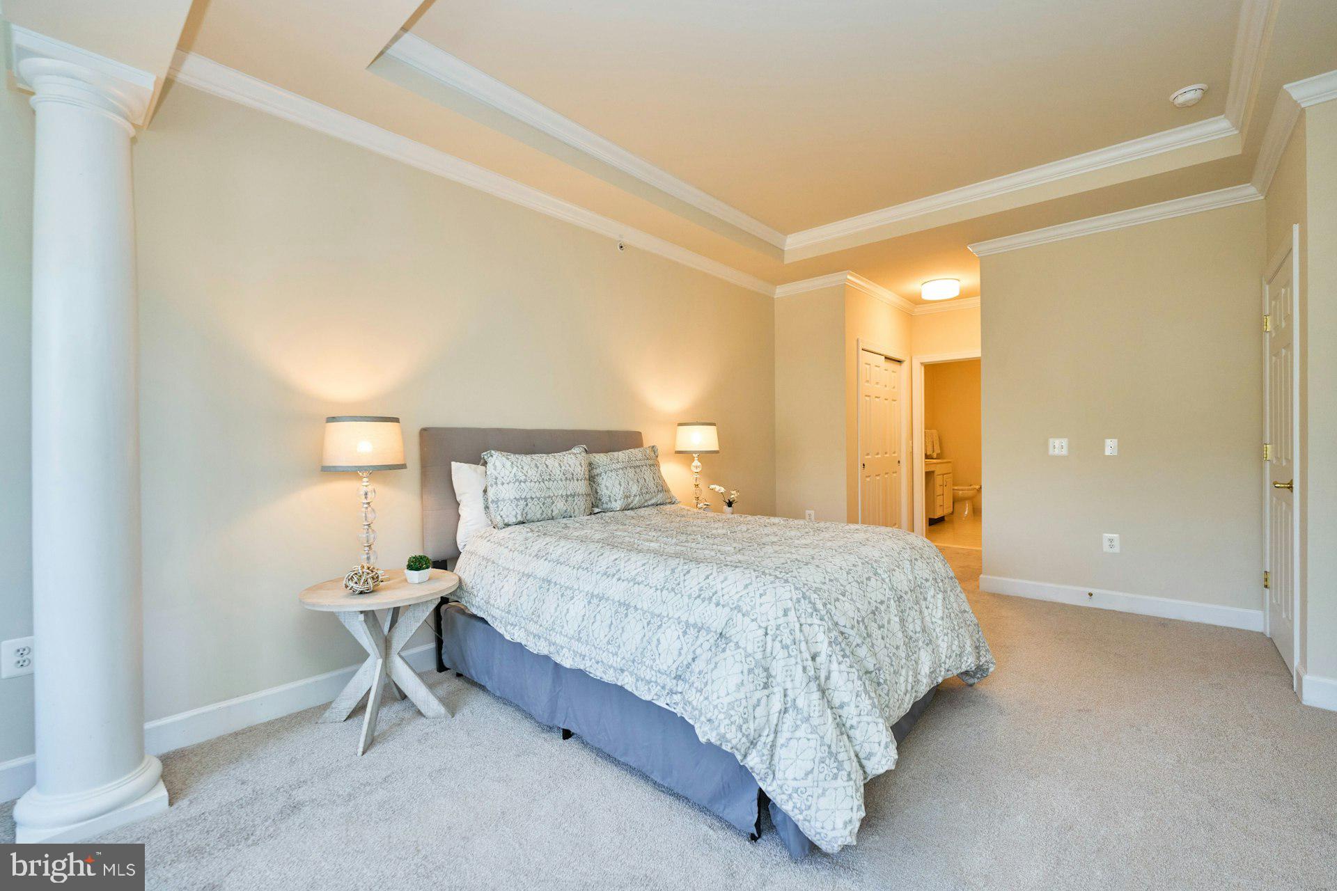 REGENCY AT DOMINION VALLEY - Residential