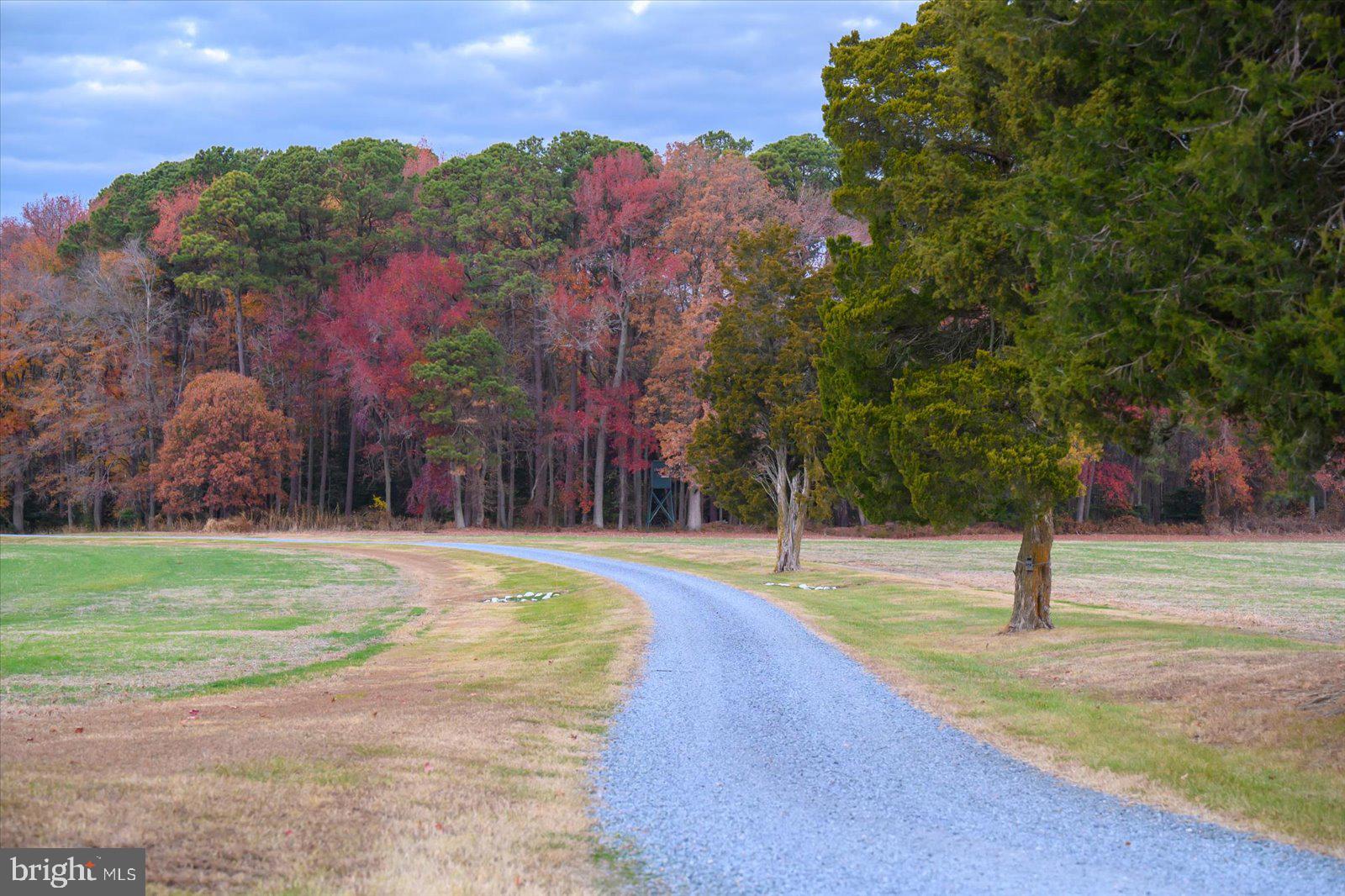 EASTERN NECK - Residential