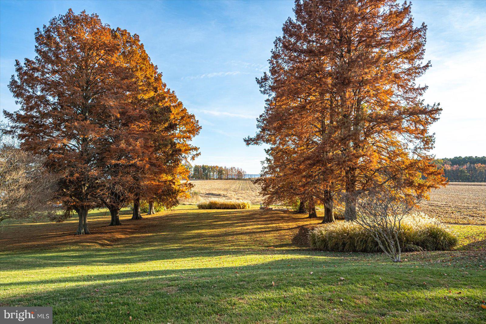 EASTERN NECK - Residential
