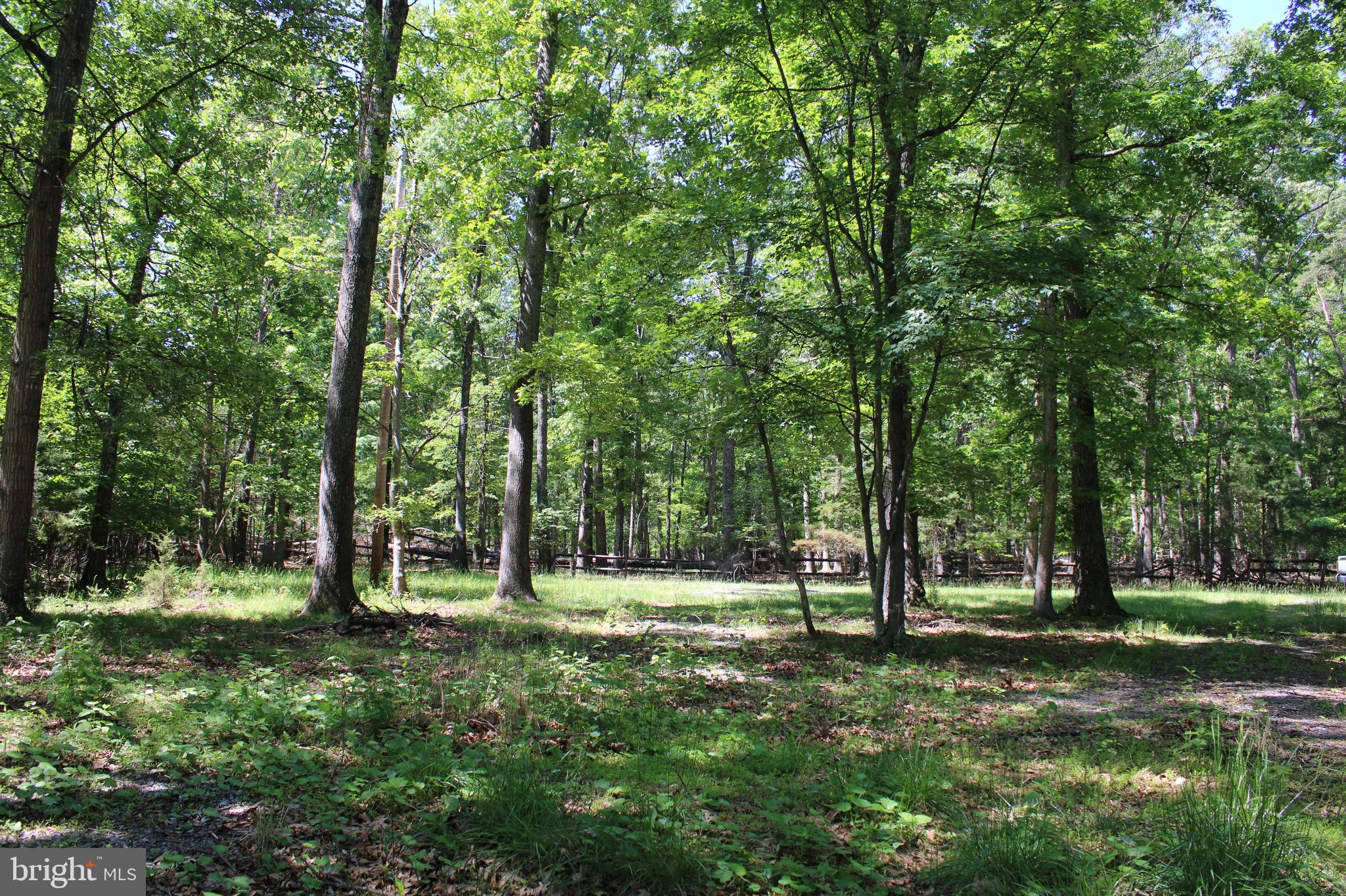 Discover a peaceful retreat with this 2.16-acre property in South Potomac Forest Subdivision, located near Springfield in the heart of Hampshire County, WV. Perfect for a future home or getaway, this land offers a mix of seclusion, convenience, and natural beauty. Enjoy waking up to the sounds of nature on your own lush, wooded land. The topography is ideal for various types of builds, from a rustic cabin to a modern home or a simple camping spot. The property is adjacent to the community fishing pond, offering easy access to hours spent unwinding by the water. It comes with a well and has electricity available, making development easier and more efficient. Situated in an area perfect for outdoor recreation, the property is close to multiple public access points to the South Branch of the Potomac River, making it an ideal launch pad for outdoor adventures. Located within 45 minutes of Winchester, VA, and an easy 2-hour drive to the Washington, D.C. area, this turn-key property offers an immediate path to the rural lifestyle you’ve been searching for.