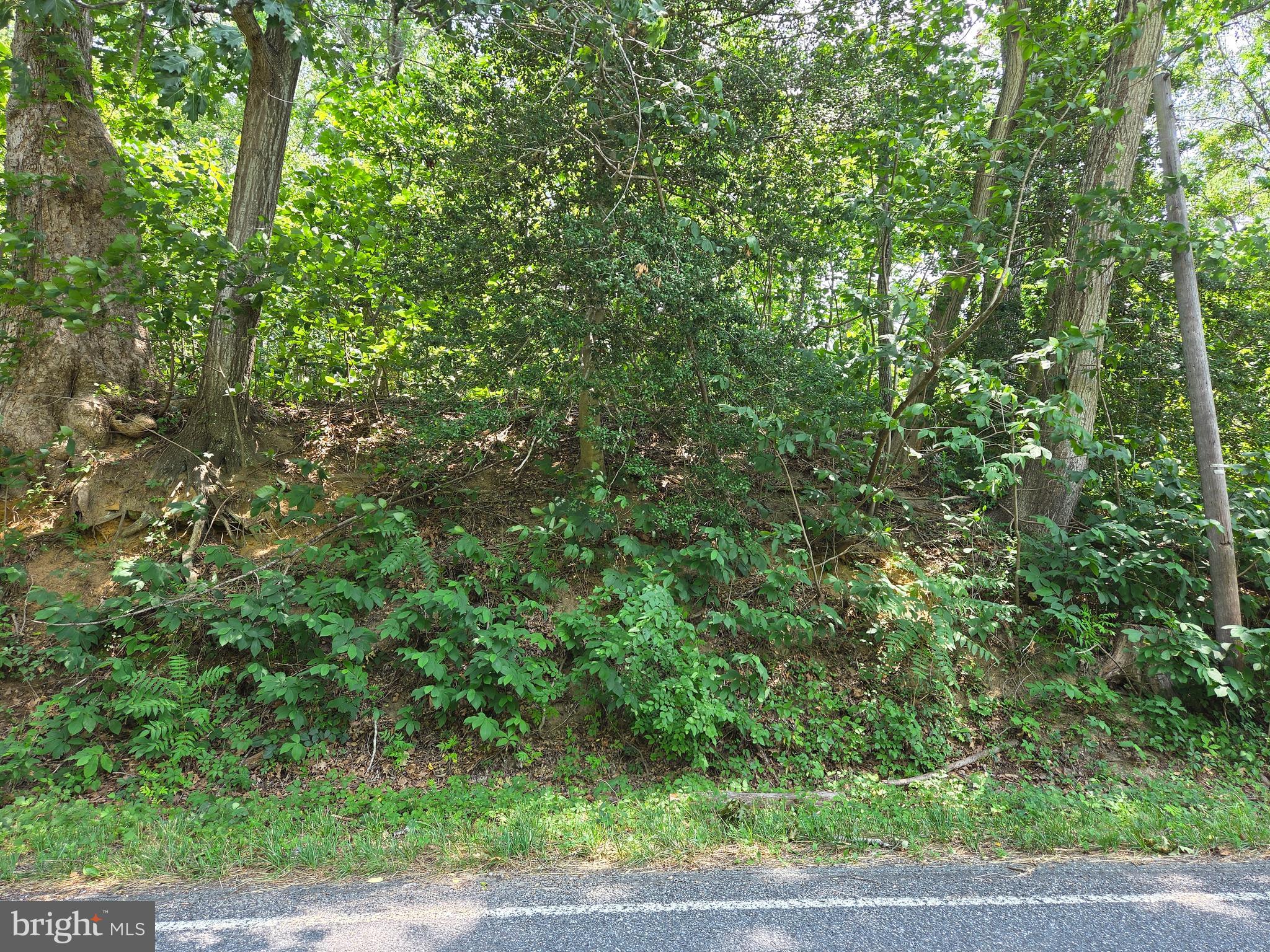 PRICED BELOW COUNTY ASSESSMENT - 2.14 acre lot in Greenpoint Landing. Community Water Available. Community amenities include a pier and boat ramp with water access to Nomini Creek.