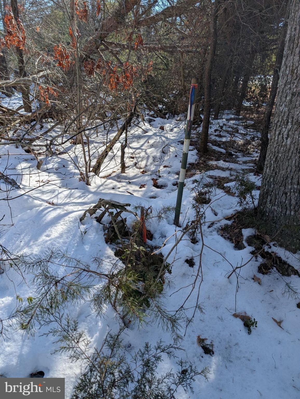 Peaceful and Private lot in Brandywine MD!  With 1.5 acres you have plenty of room to spread out and enjoy the nature and serenity that Southern Maryland offers.  A quick commute to DC and many amenities.  Listing photos are for both Lot 51 and 52 which are being sold separately, both 1.5 acre lots.  Lots have access to public water and sewer and well and septic waiver may be acceptable with approval, please see documents in listing or reach out to listing agent.  Please tour lots with a licensed agent, a showing request my be approved before traveling down the private road, please do not driveby lots without an approved appointment.  Survey work has been performed and can be provided.