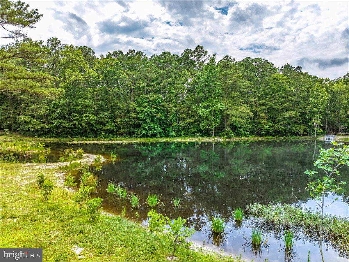 OCEAN PINES - NEWPORT - Residential