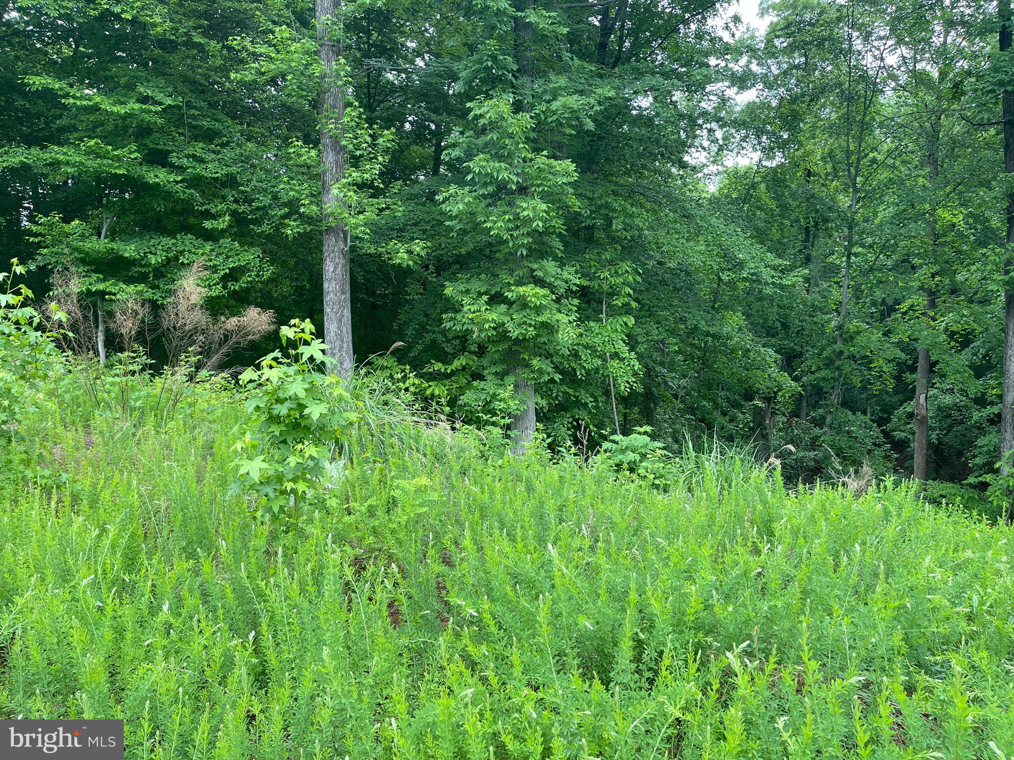 Potomac River 10 acre lots are now available in Potomac Landing. Enjoy the best of both worlds with the privacy of 10+ acres and the amenities of this sought after community. Golf cart to Tim's II or Rick's on the River restaurants. Canoe, kayak or catch trophy bass in the private pond. Launch your boat and anchor off the community beaches on your deeded access to the Potomac. Builders are on site so buy now and build now or buy now and build later. 
Appointment required, Call for your private tour.
CLOSE TO 95/17 AND DOWNTOWN FREDERICKSBURG. DAHLGREN, AND THE NEW 301 BRIDGE! APPROVED 4 BDRM CONV DRAIN FIELDS. WOODED HOME SITES WITH PLENTY OF PRIVACY AND THE AMENITIES OF POTOMAC LANDING. INVENTORY IS LIMITED, LOTS STARTING FROM THE LOW 100'S. SEE DOCS

INTERESTED IN BUILDING A HOME? Beautiful Potomac Landing TO BE BUILT!! Several models & floor plans to choose from! Bring your own plans or builder or choose from our! Some homes are ready for immediate construction!! Choose your finishes!