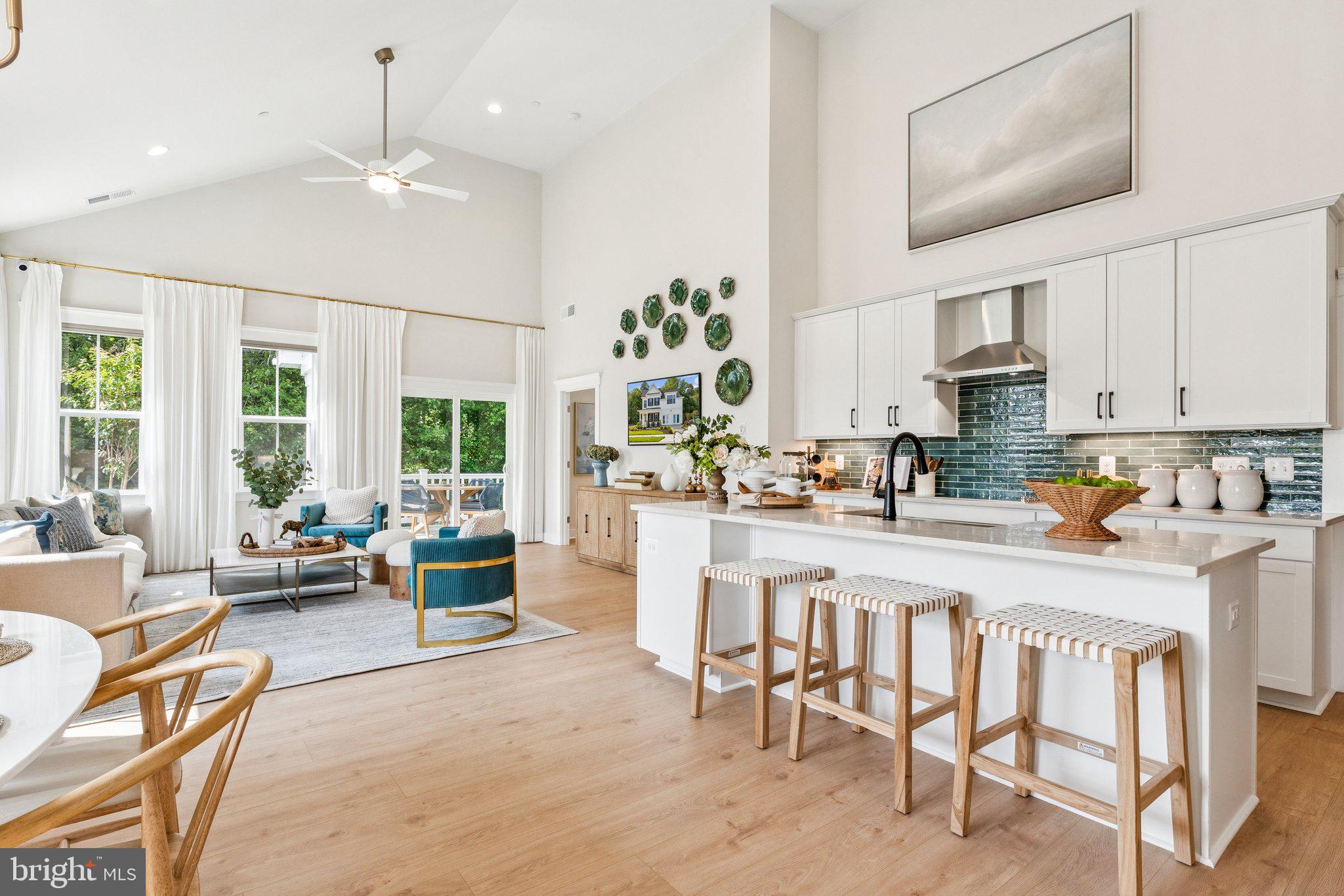 LAKESIDE AT TRAPPE - Residential