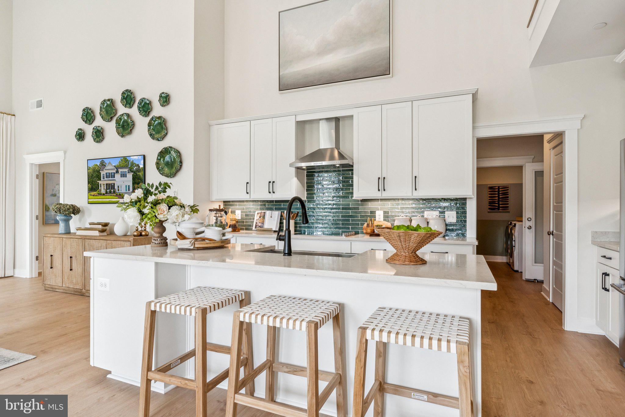 LAKESIDE AT TRAPPE - Residential