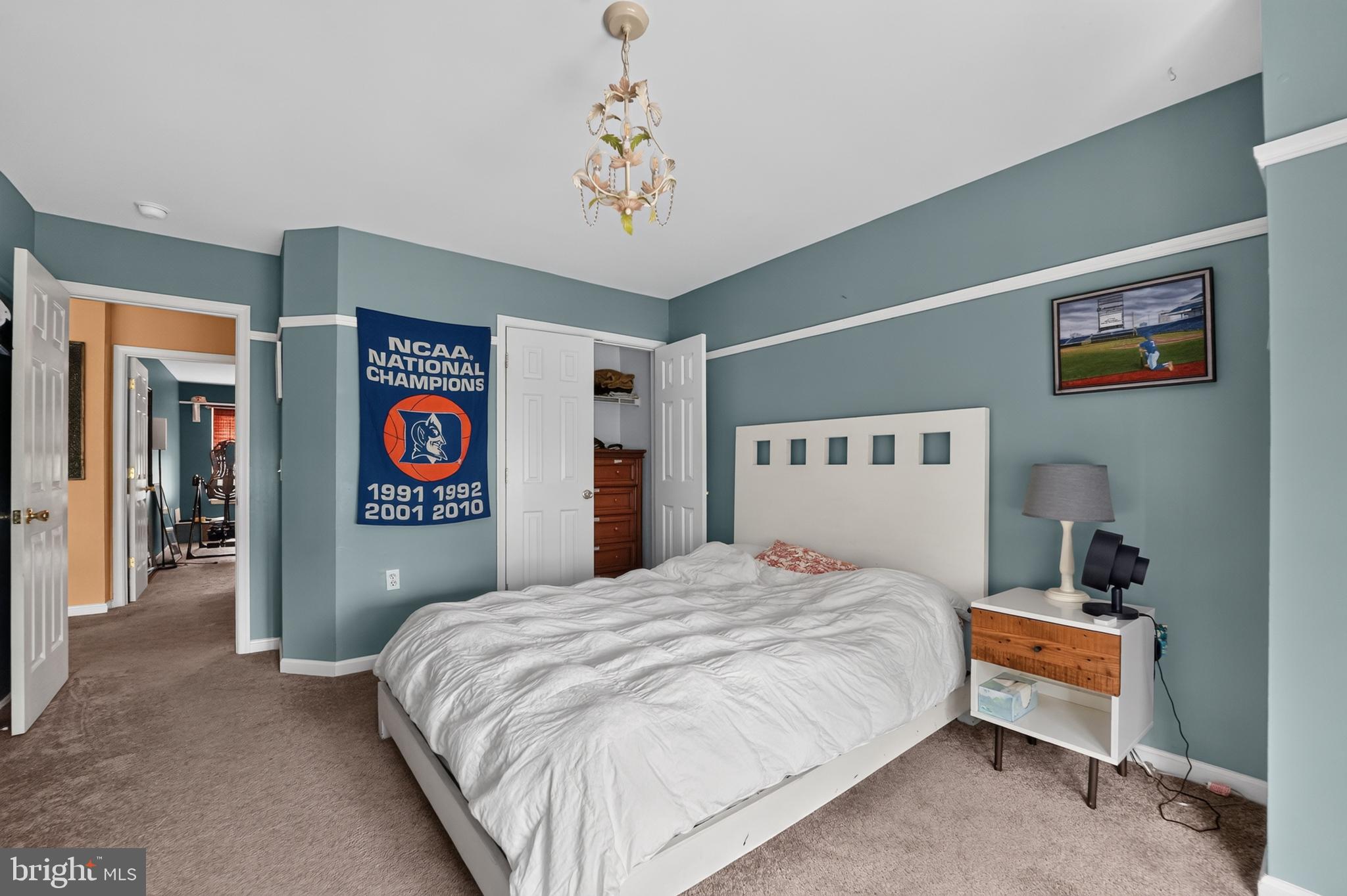 MALLARD RUN - Residential