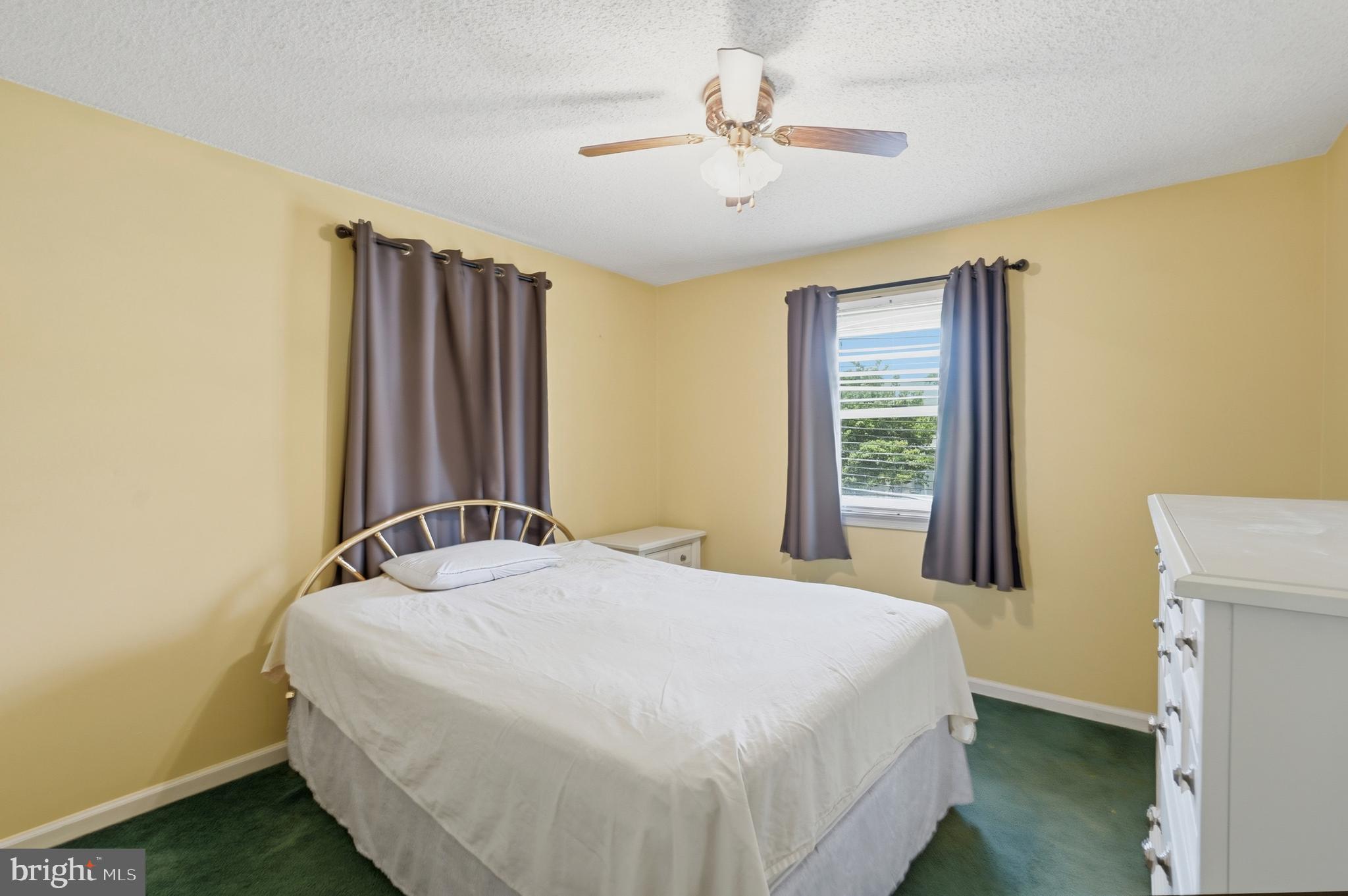 WINCHESTER PARK - Residential