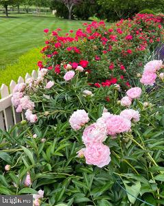 ESTATES @ CREIGHTON FARM - Residential