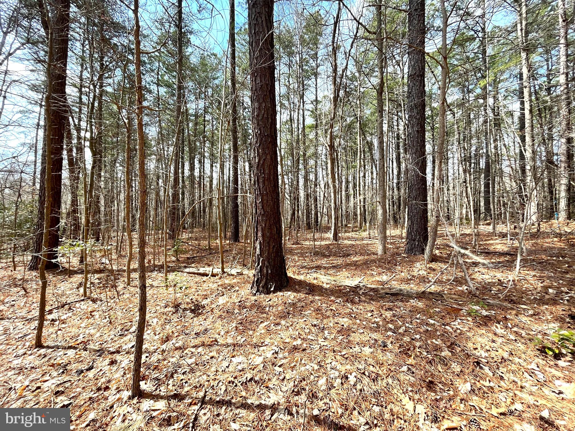 Build your dream home here! Beautiful 3.34 acre wooded lot in Hughesville off Bucktown Road.  Lot near newly built large homes!  Lot starts at the Conservation Easement sign on Bucktown Rd & goes past our real estate sign. A bubbing stream runs on the left side of the lot & continues towards the rear of the lot. When you access the lot by our sign, go to the right to view the large, level building area!  Close to Calvert, Charles and St Mary's counties.  Property borders a 2.45 acre Forest Conservation Easement.  Approved perc