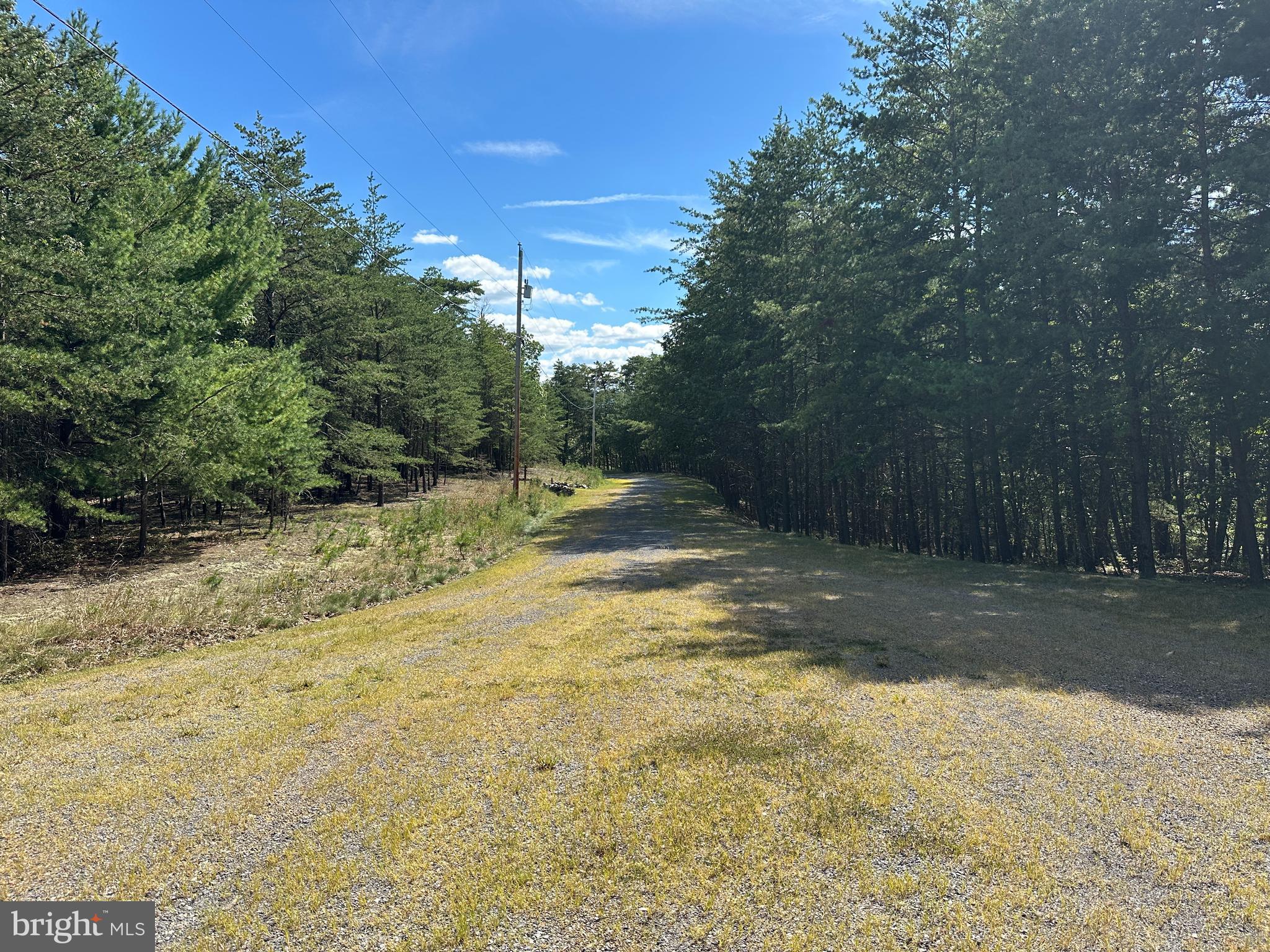 SUGAR RUN - Land
