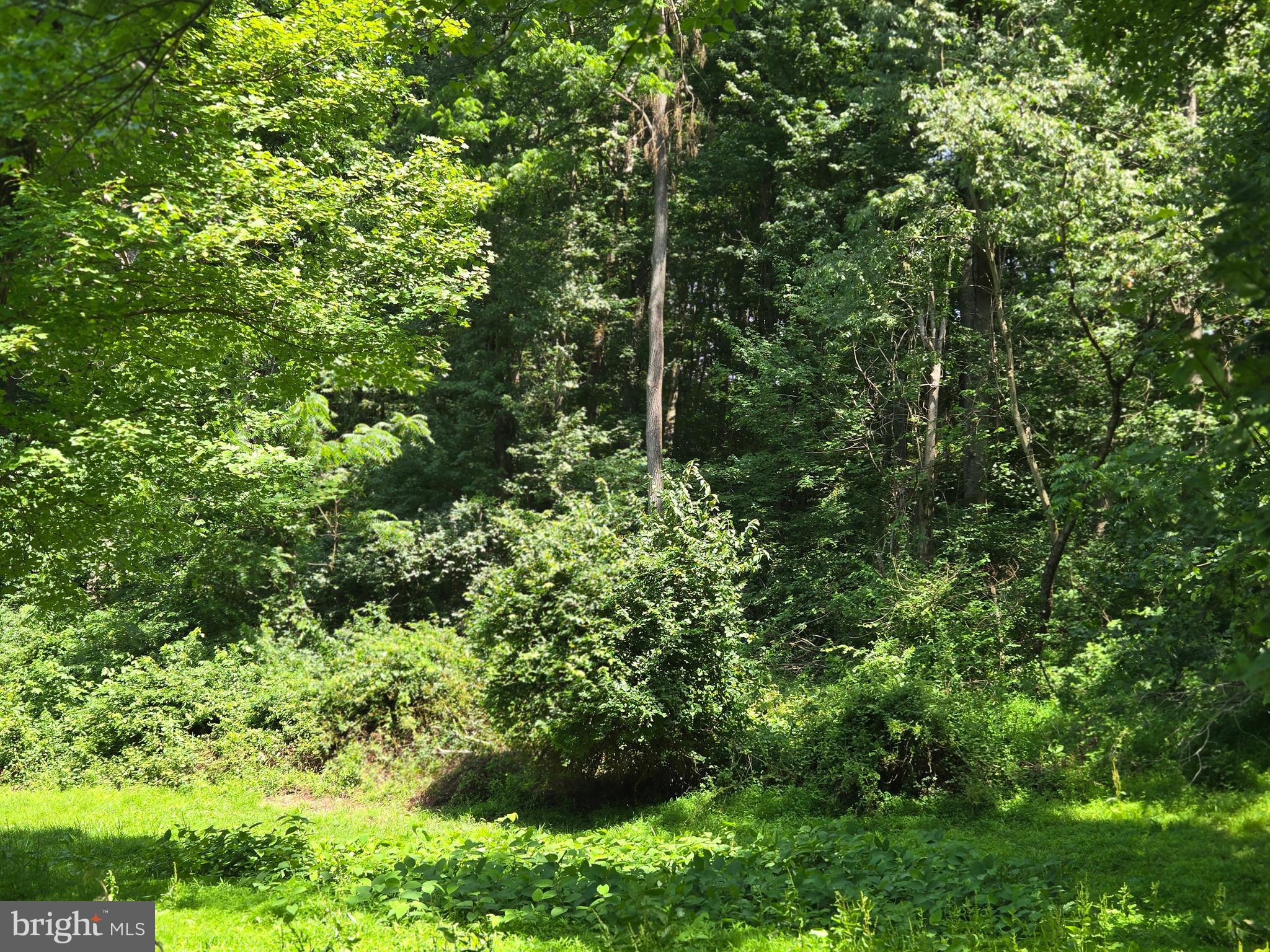 CHANCEFORD TWP - Land