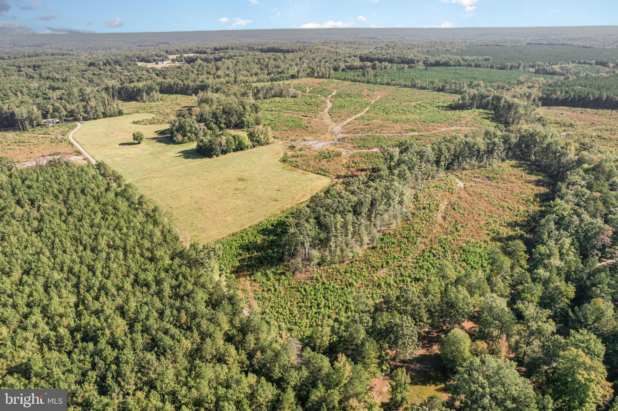 Welcome to the 148 acres on White Oak Dr. in Ruther Glen, VA! Larger parcels like this one are getting harder and harder to find, so don't miss this opportunity when it comes knocking! This parcel consists of approximately 14 acres of open pasture land and 134 acres of wooded land. If someone desired to have more open land, much of the wooded land is flat/gently rolling and could be reclaimed into more open land. There are large hardwood trees along the creek buffers, and the rest of the wooded land was timbered approximately 3 years ago. This tract would be ideal for a farmstead (horses, cattle, etc.), building one home, building a family compound, recreation, or holding long term for investment. This is a very private setting here with many larger parcels surrounding it, but you are within 20 minutes of Ashland, Bowling Green, and Aylett and within 15 minutes of I-95. Some infrastructure that is already in place includes White Oak Dr. itself which is a gravel road and is in great shape, a gravel driveway from there leading to an old home site, and a power line already on the property as well. That along with some of the land being cleared already means that you could get started on building your dream home right away. There are so many possibilities here, so come see what this parcel has to offer today!
