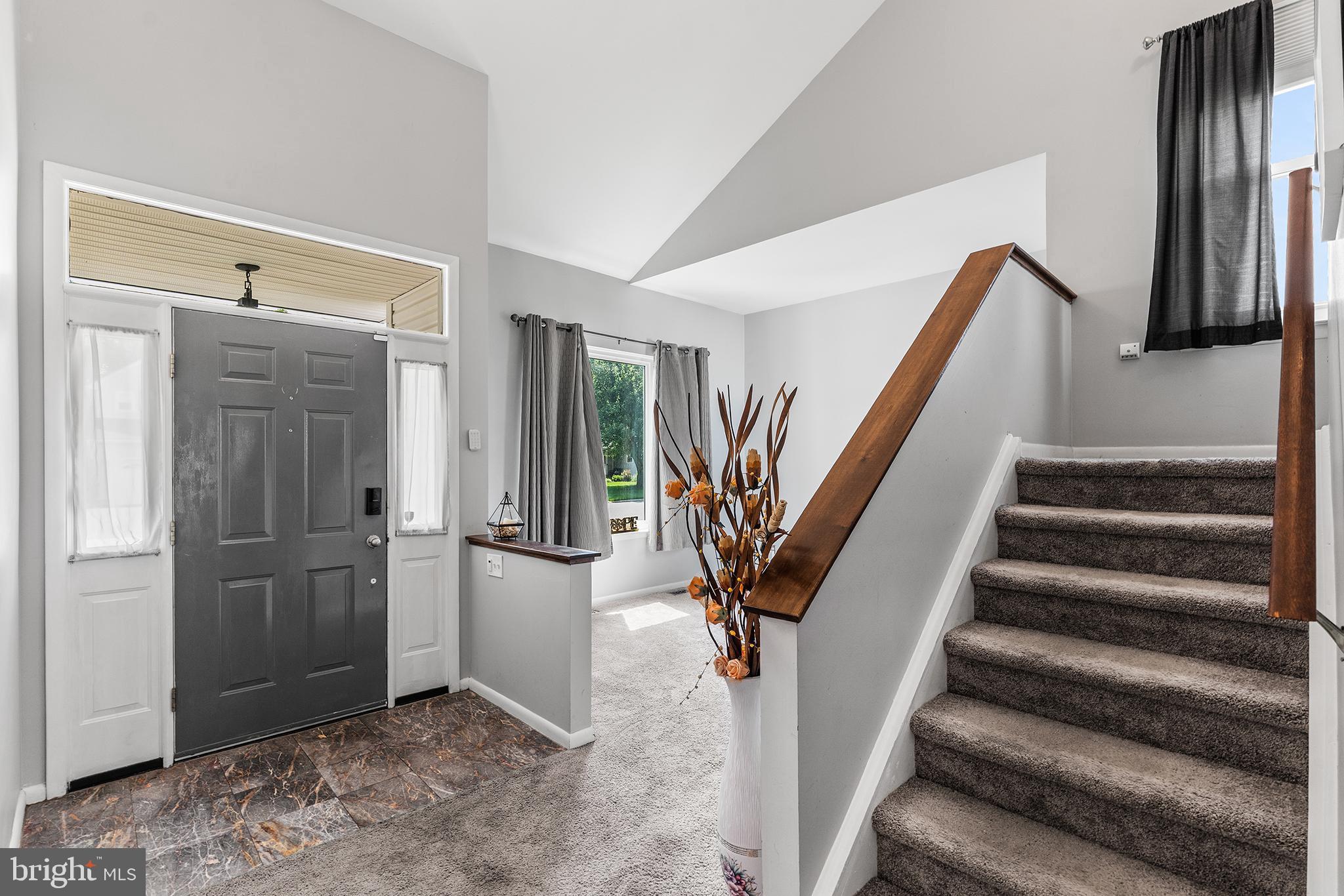 BUENA VISTA PARK - Residential