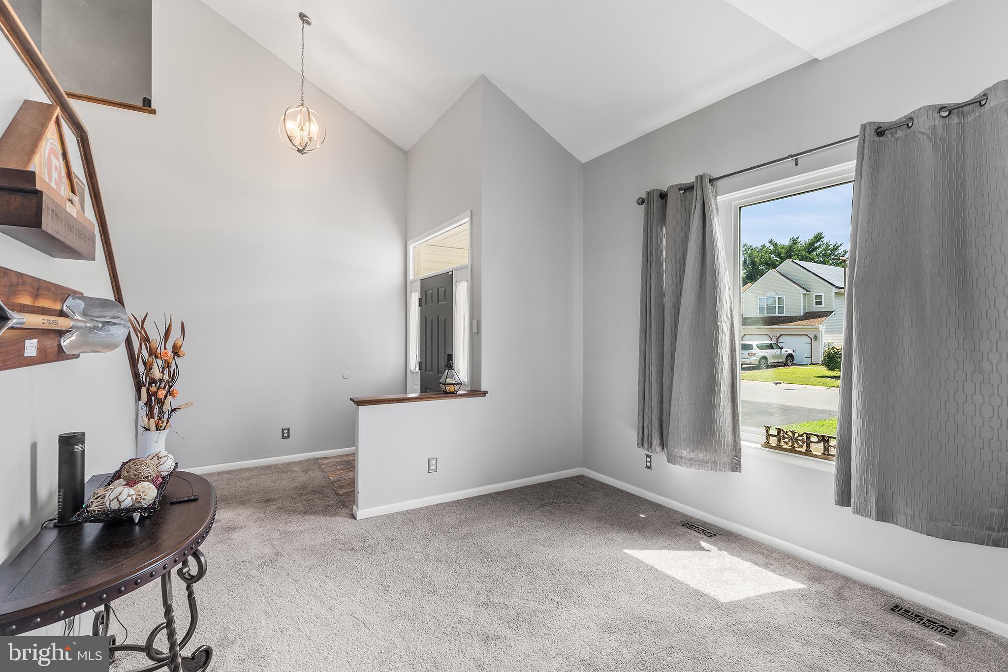 BUENA VISTA PARK - Residential