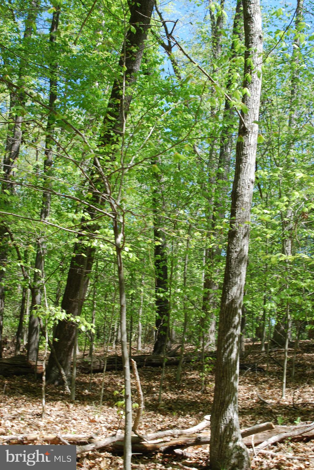 MOYAONE RESERVE - Land