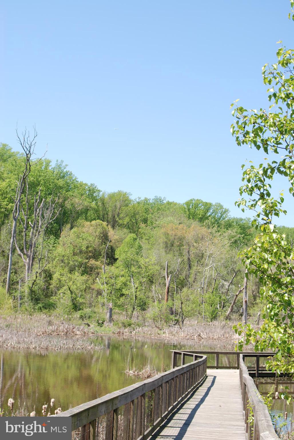 MOYAONE RESERVE - Land