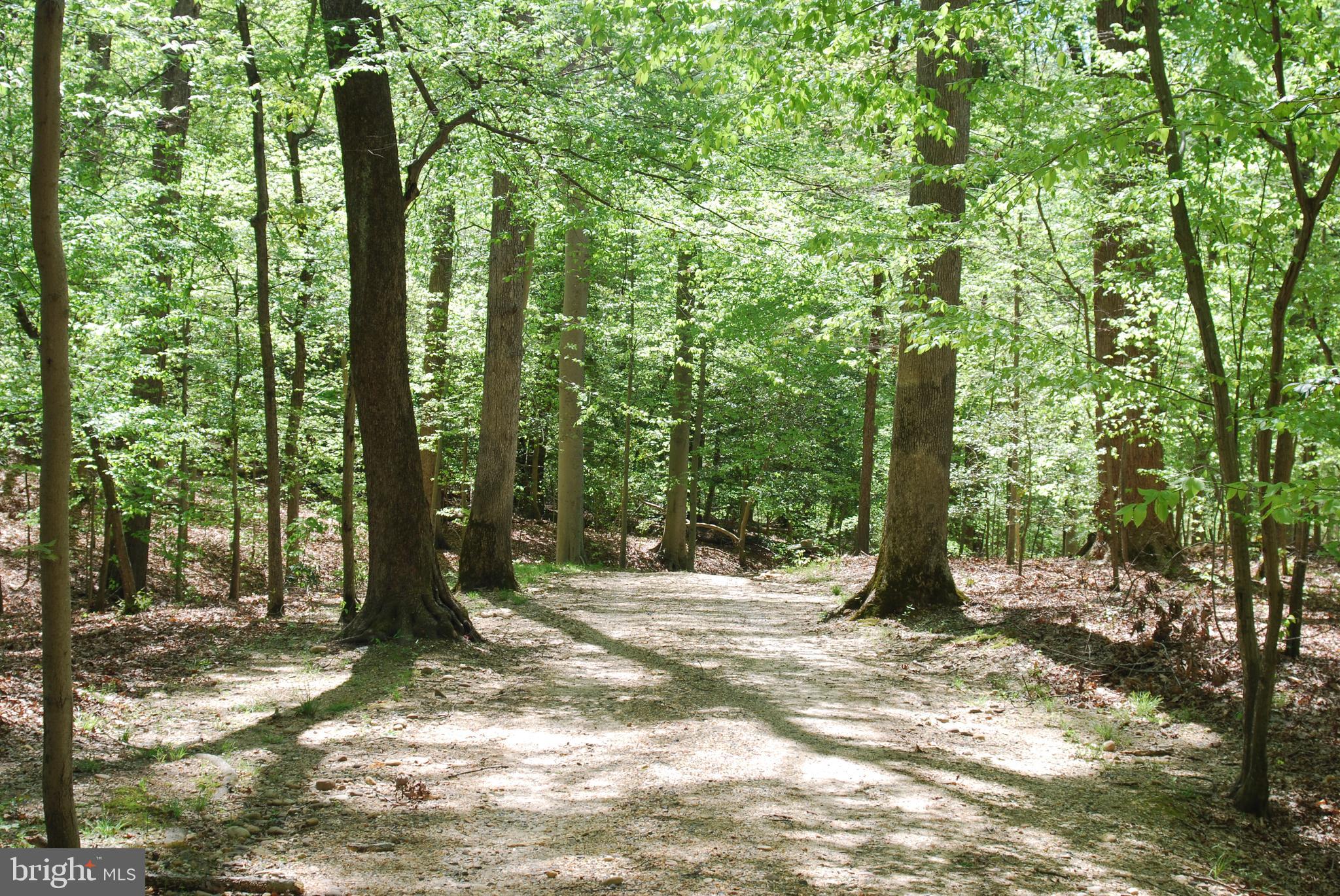 Introducing a rare opportunity to own 5.12 acres of pristine, undeveloped land only 13 miles from Washington DC, nestled within the beautiful, historic and environmentally conscious Moyaone Reserve.  This land benefits from a federal scenic easement with Mount Vernon, ensuring the preservation of its natural landscape and historical significance for generations to come. This unique feature not only enhances the property's value but also aligns with the ethos of conservation and stewardship deeply rooted in the reserve.  Old-growth trees beautifully adorn the acreage and inspire a sense of tranquility and awe.  Only a mile up the road, the Moyaone Commons is a vibrant hub of social activity offering a community pool, a covered pavilion and tiki bar, as well as outdoor fields and courts.  This amazing piece of land sits in close proximity to the Potomac River, and Piscataway Park with its recreational opportunities and serene beauty.  The National Colonial Farm is just minutes away, offering a captivating glimpse into the colonial past.  Whether envisioning a private estate, an eco-conscious retreat, or a sustainable living venture, this property offers a rare opportunity to embrace nature, history, and community within a truly distinctive setting.  This land parcel previously had a successful percolation test in 2007, which was officially revalidated on June 3, 2024.  There is currently no well or septic on the land.  Annual dues are paid on a voluntary basis.  Different membership benefits are allocated depending on contribution.