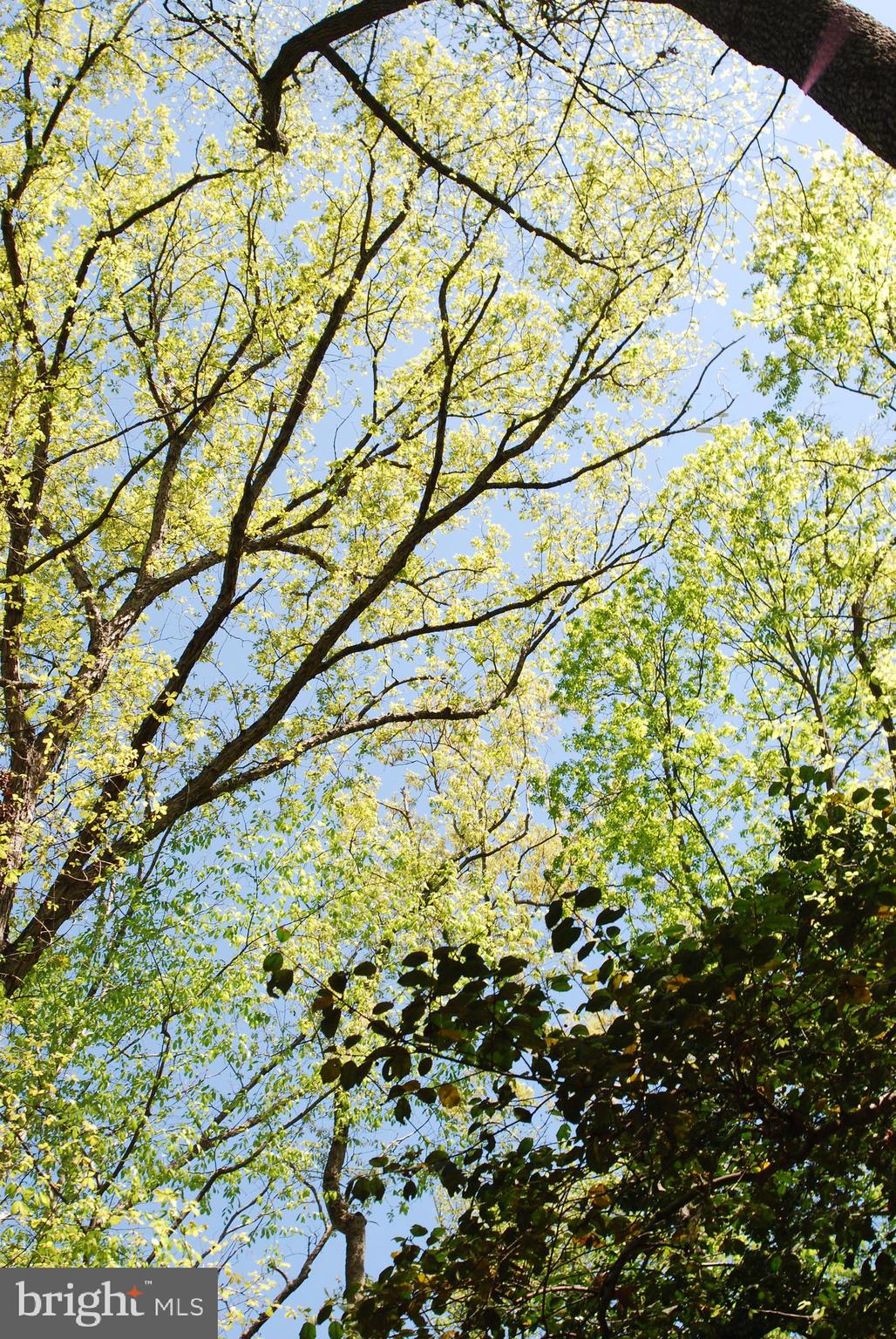 MOYAONE RESERVE - Land