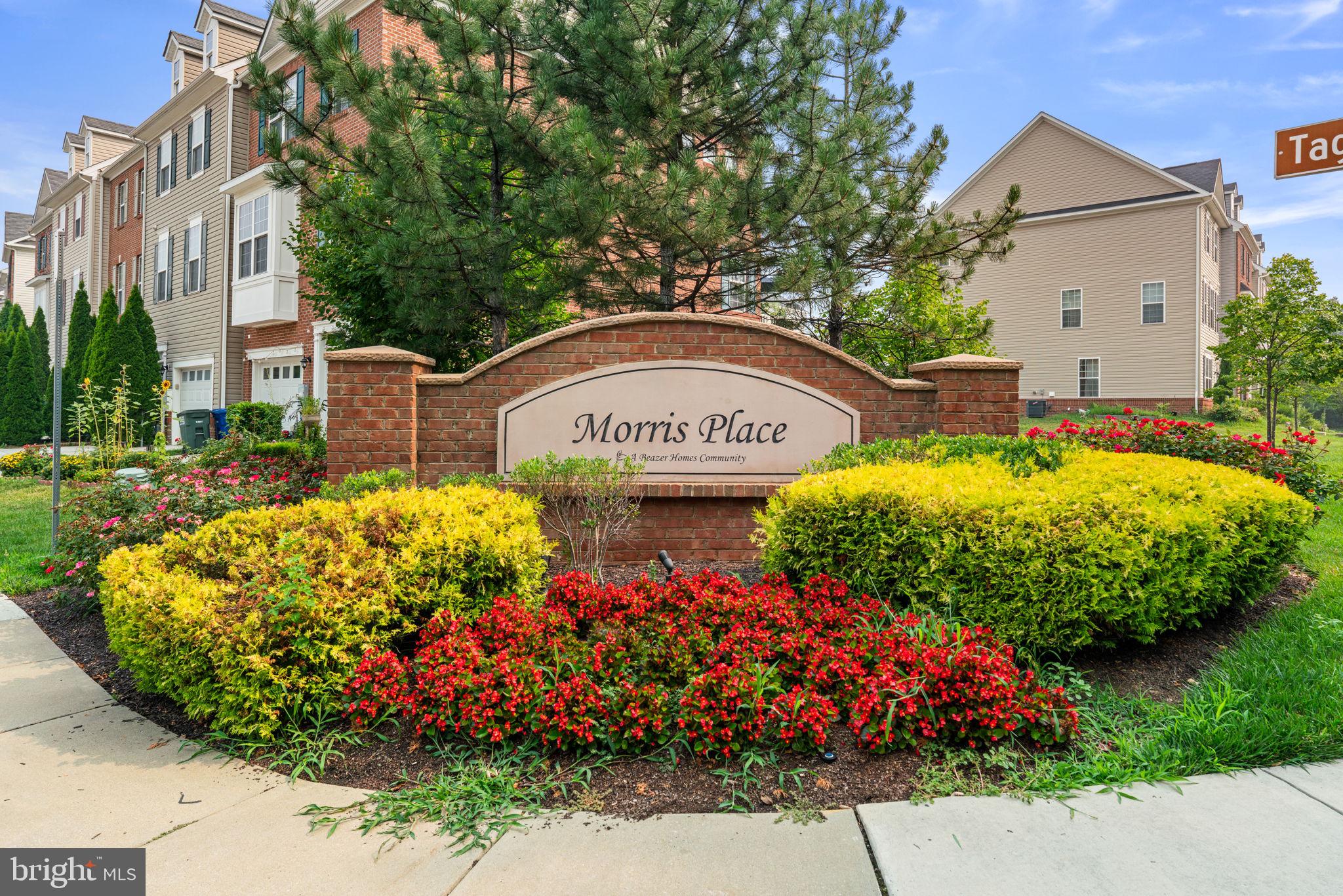 MORRIS PLACE - Residential