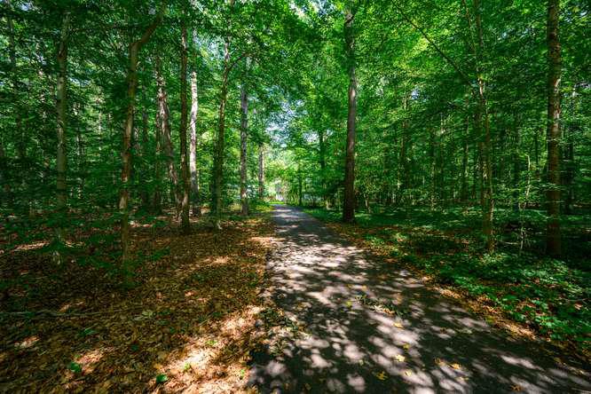 CHAPEL WOODS - Residential