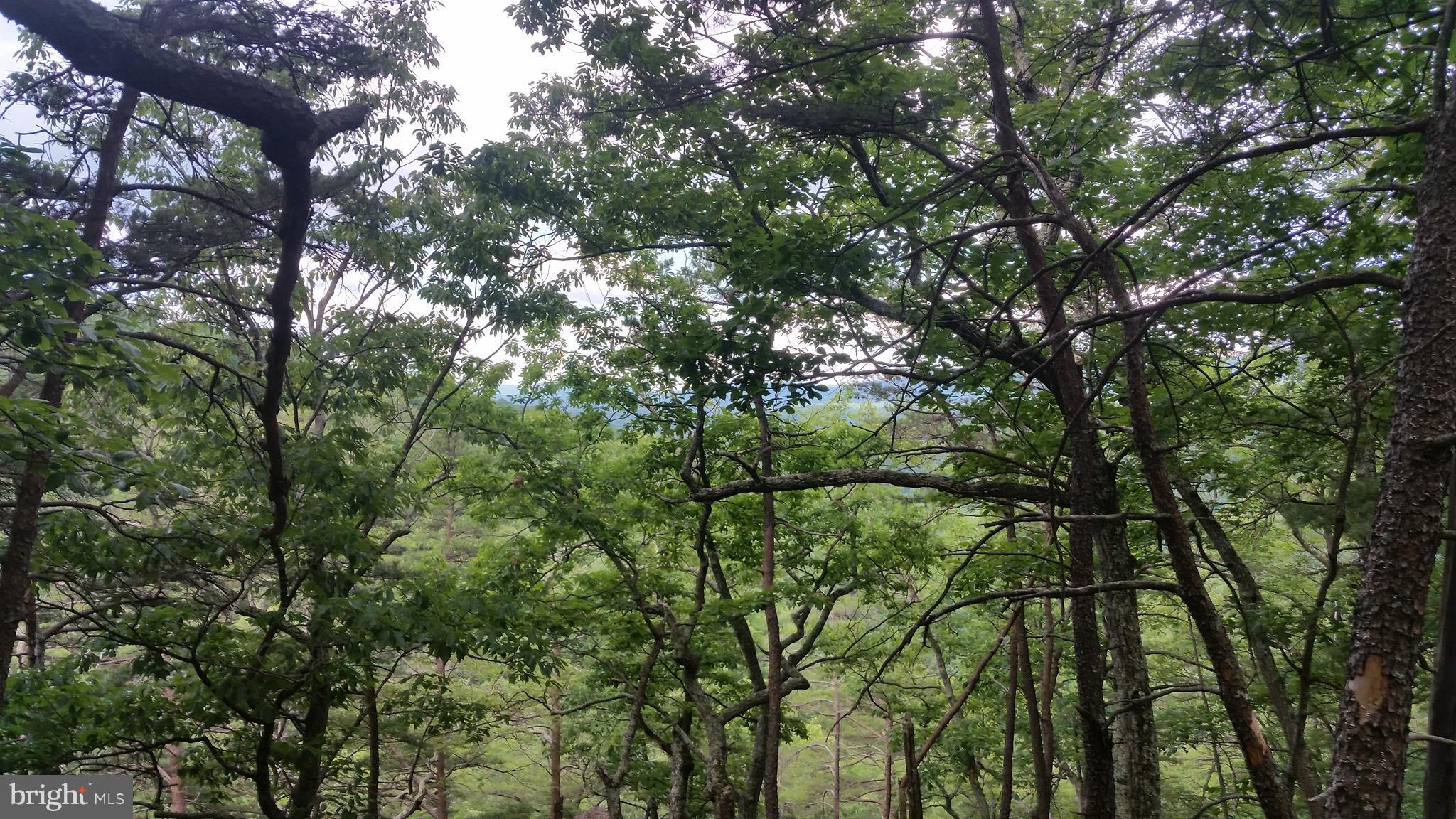 CACAPON HIGHLANDS - Land