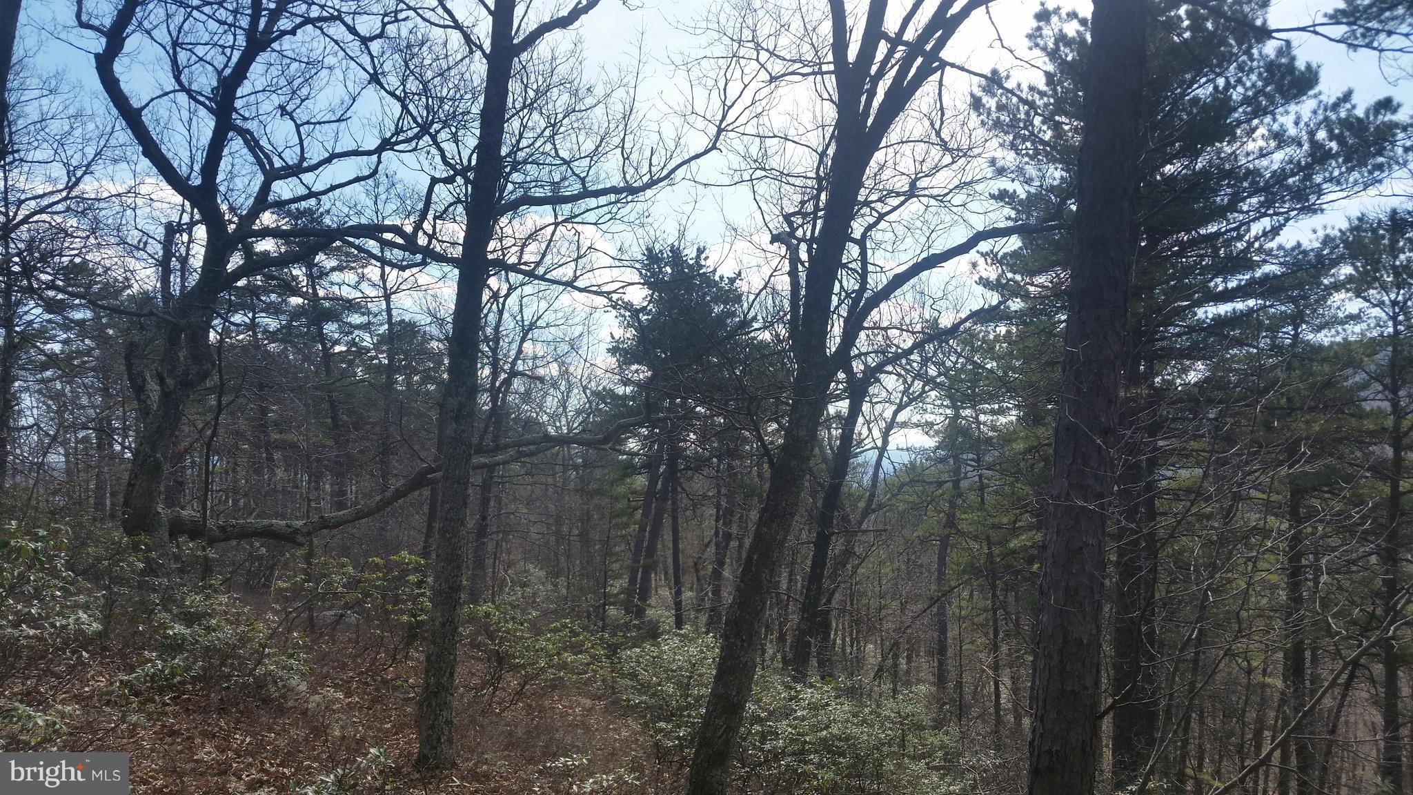 Nice wooded lot bordering the 2,500 acre Sidling Mt Wildlife Management Area, Seasonal view and good roads. Near the Cacapon and Potomac Rivers for all your outdoor activities.