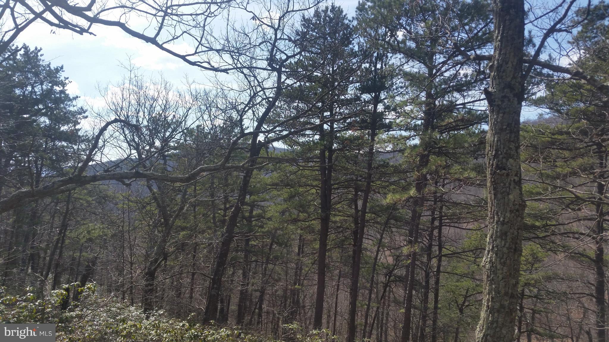 CACAPON HIGHLANDS - Land