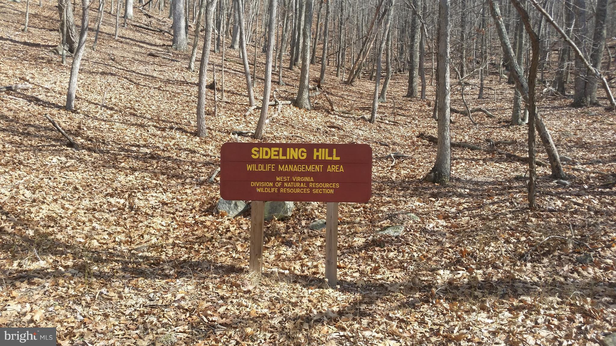 CACAPON HIGHLANDS - Land