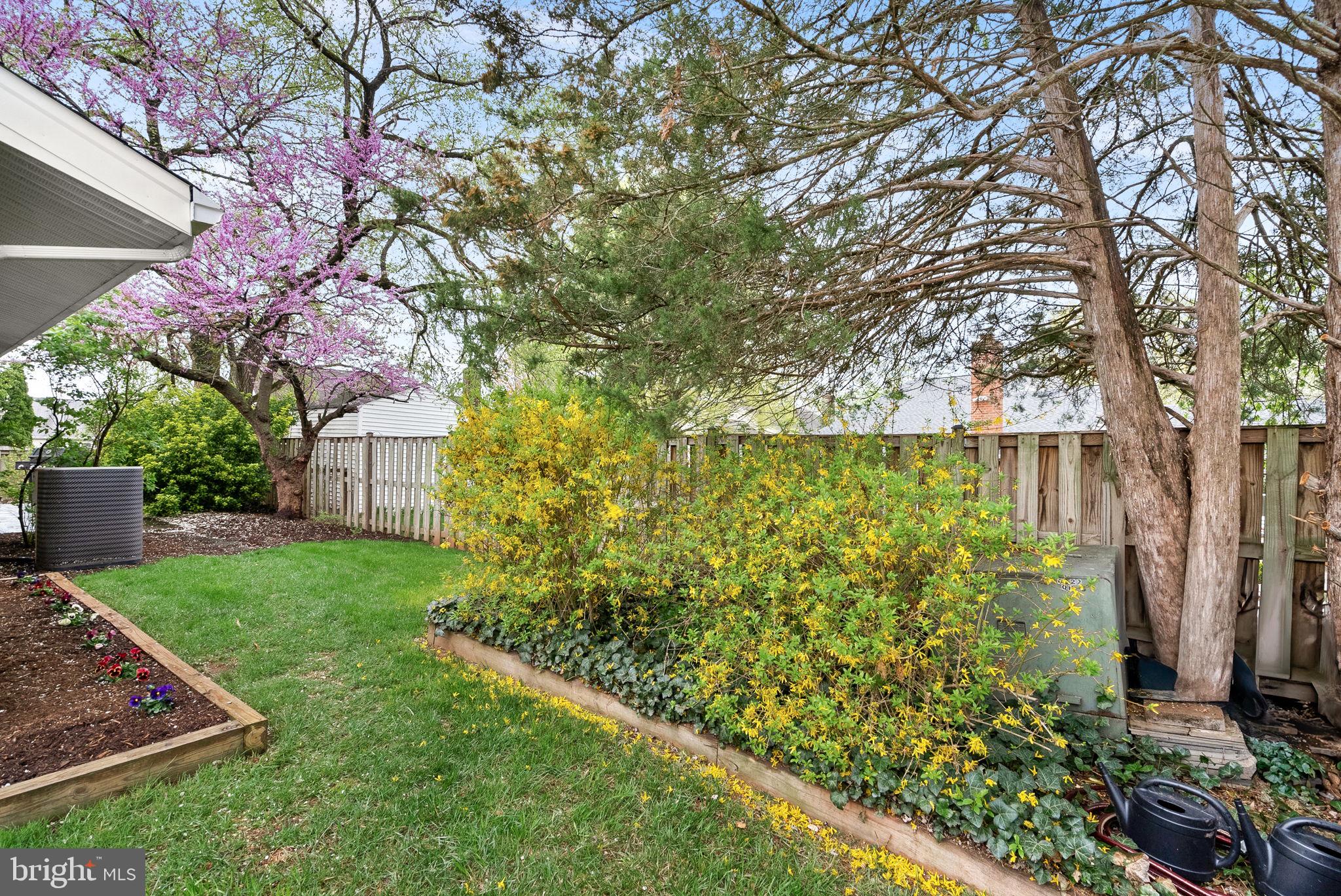 OAK TREE - Residential